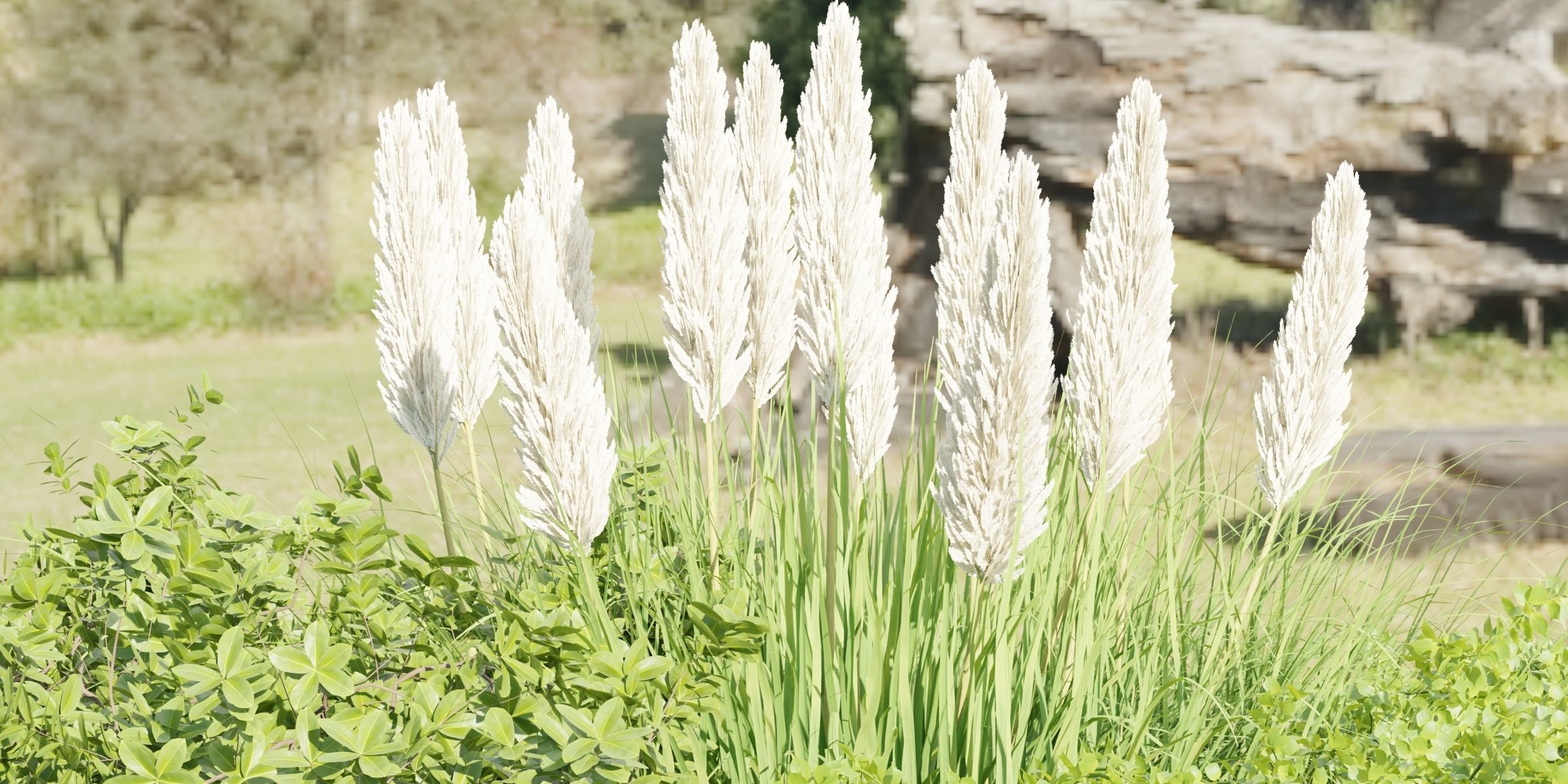 3D Plants Asset Set Garden Collection-Blender 3D model_16