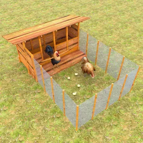Chicken Coop 