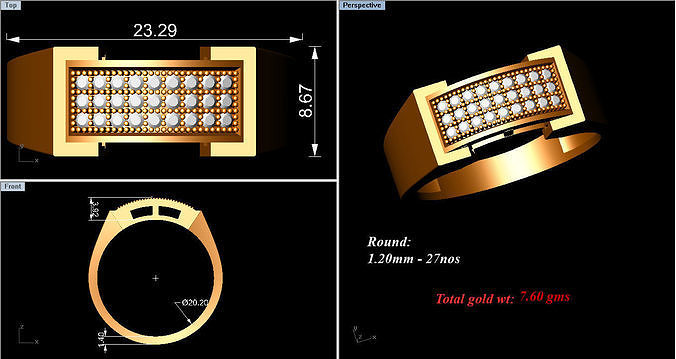 Watching Glares 3D model