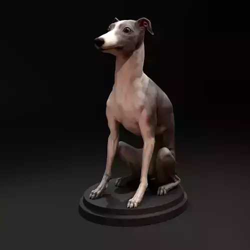 Italian Greyhound - Dog Pet 04 Neutral 3D print model