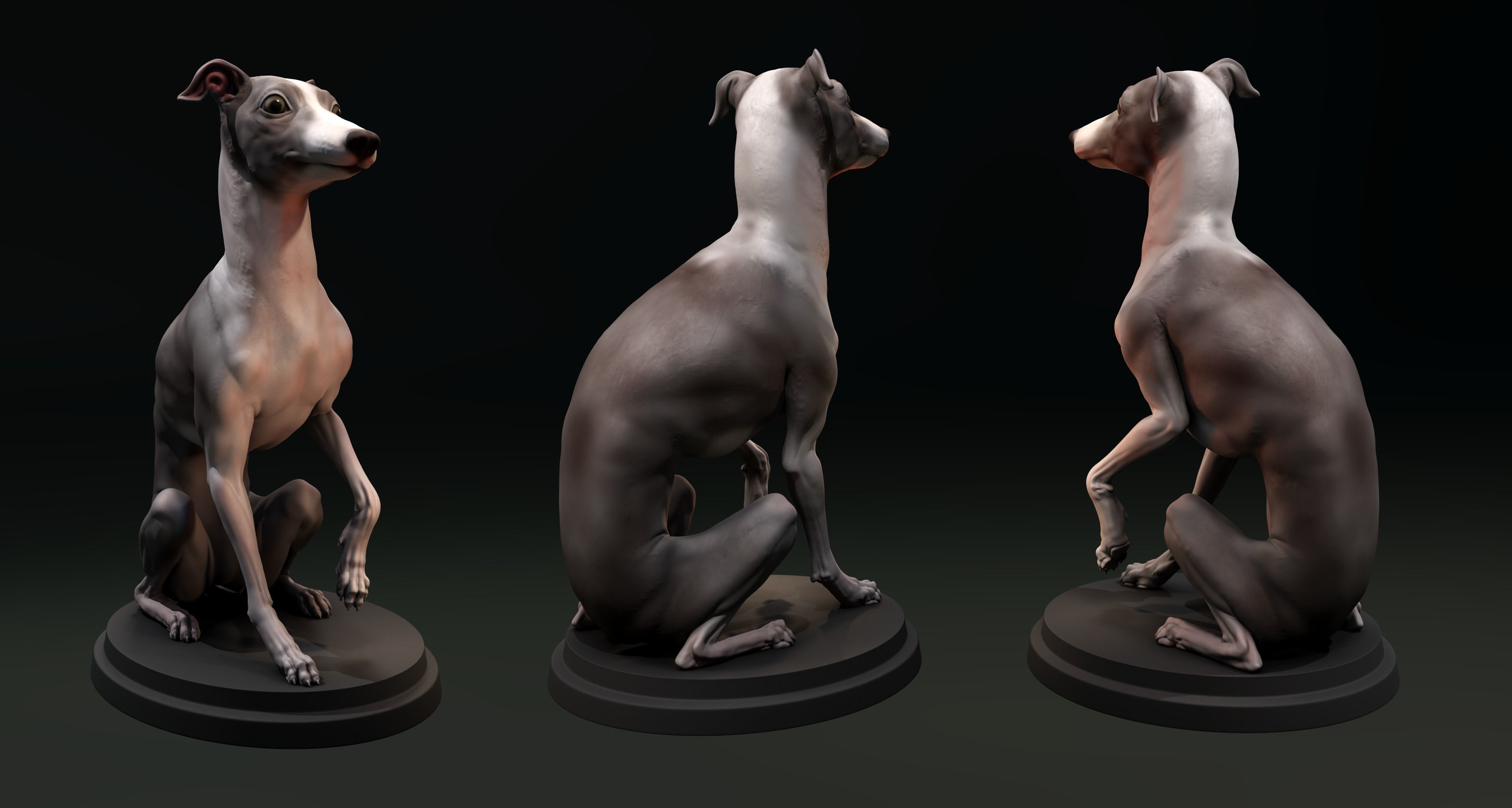 Italian Greyhound - Dog Pet 04 Posed 3D print model_3