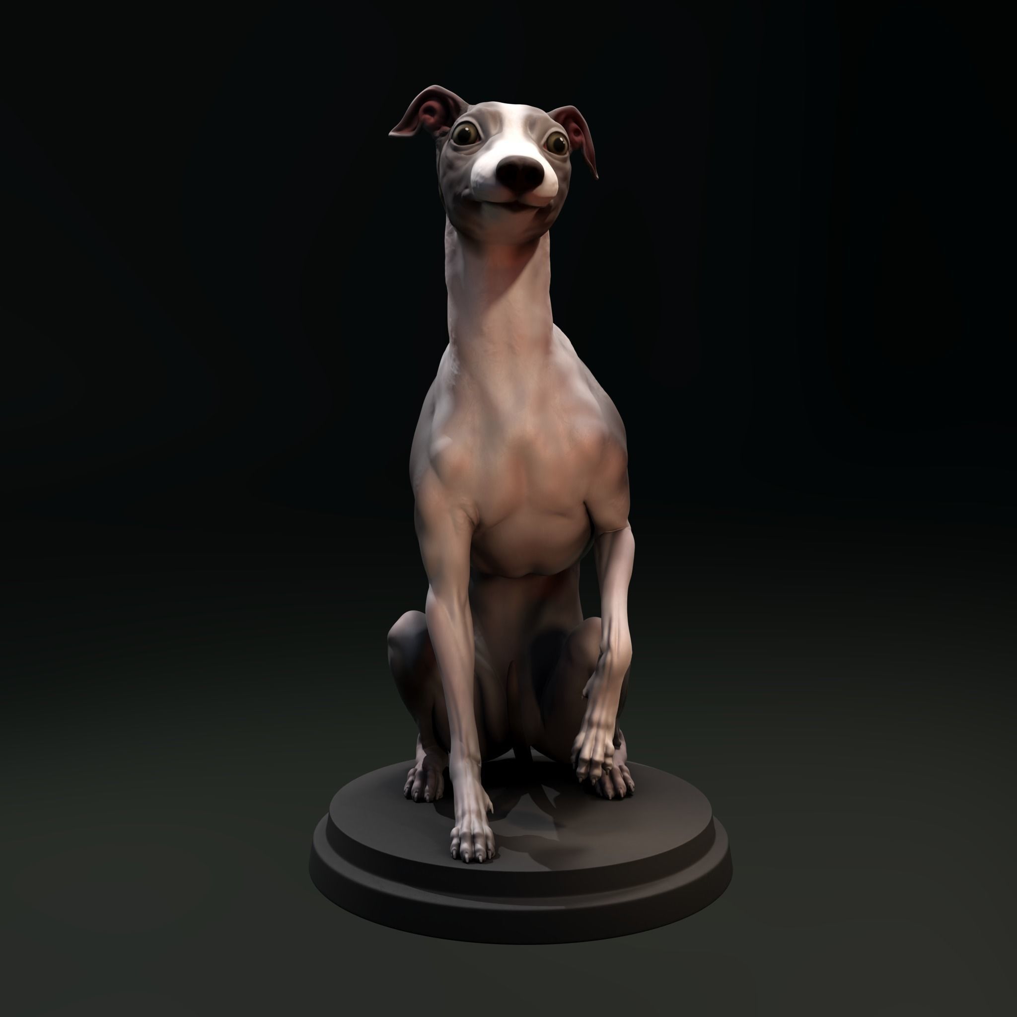Italian Greyhound - Dog Pet 04 Posed 3D print model_2