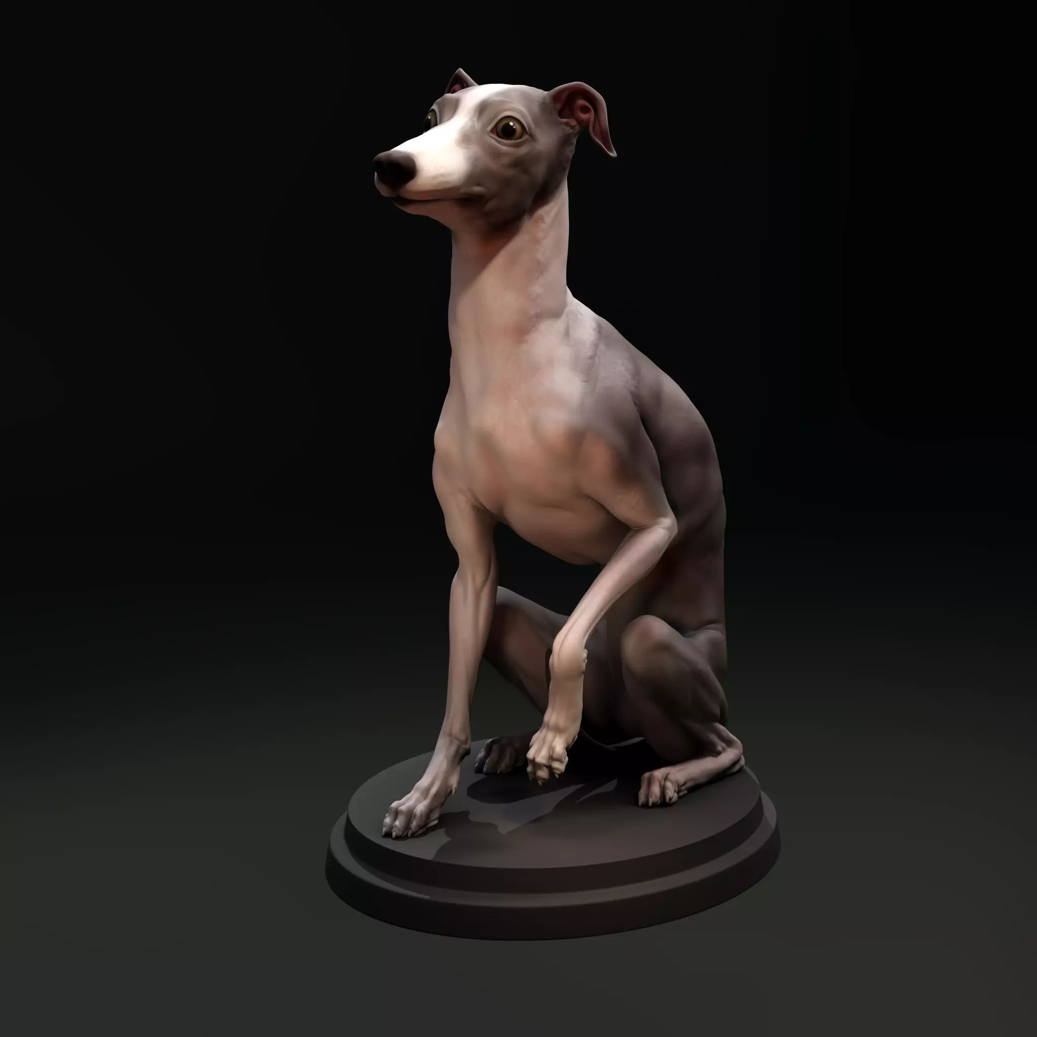 Italian Greyhound - Dog Pet 04 Posed 3D print model_0
