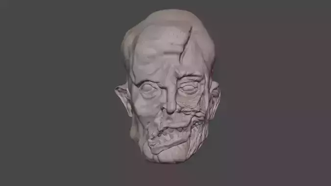 Jason Voorhees part 4 head sculpt for custom figure  3D print model