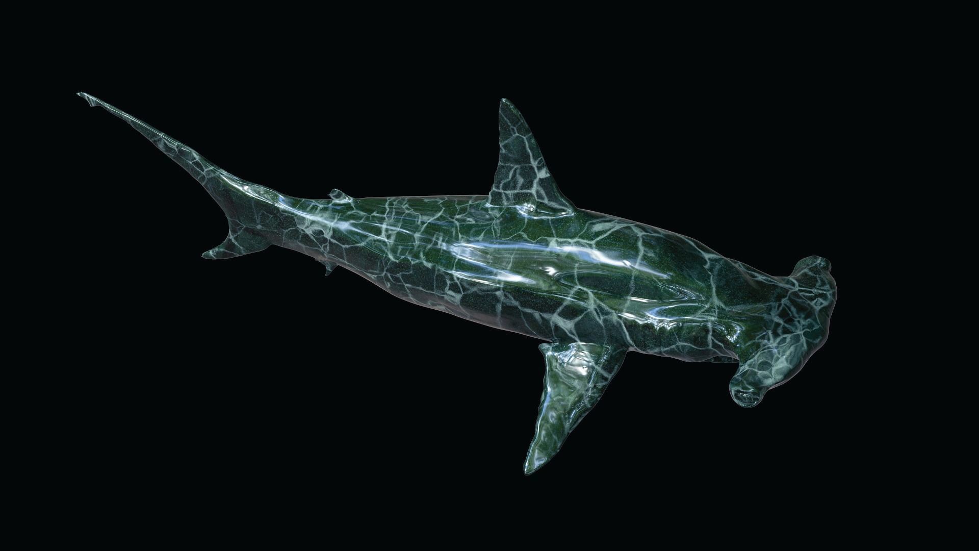 Shark Hammerhead Sphyrnidae 3D model_1