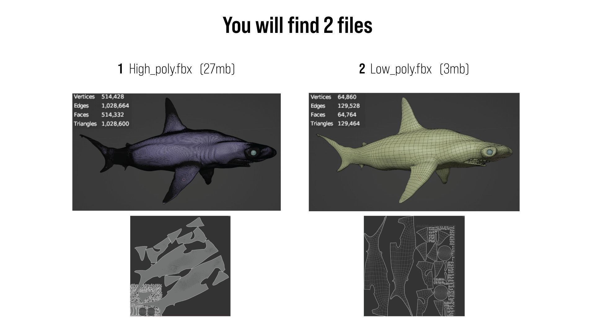 Shark Hammerhead Sphyrnidae 3D model_3