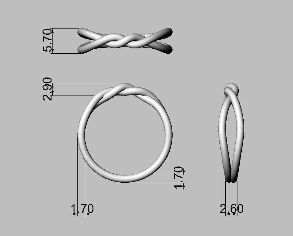 Knot Ring 3D print model_3