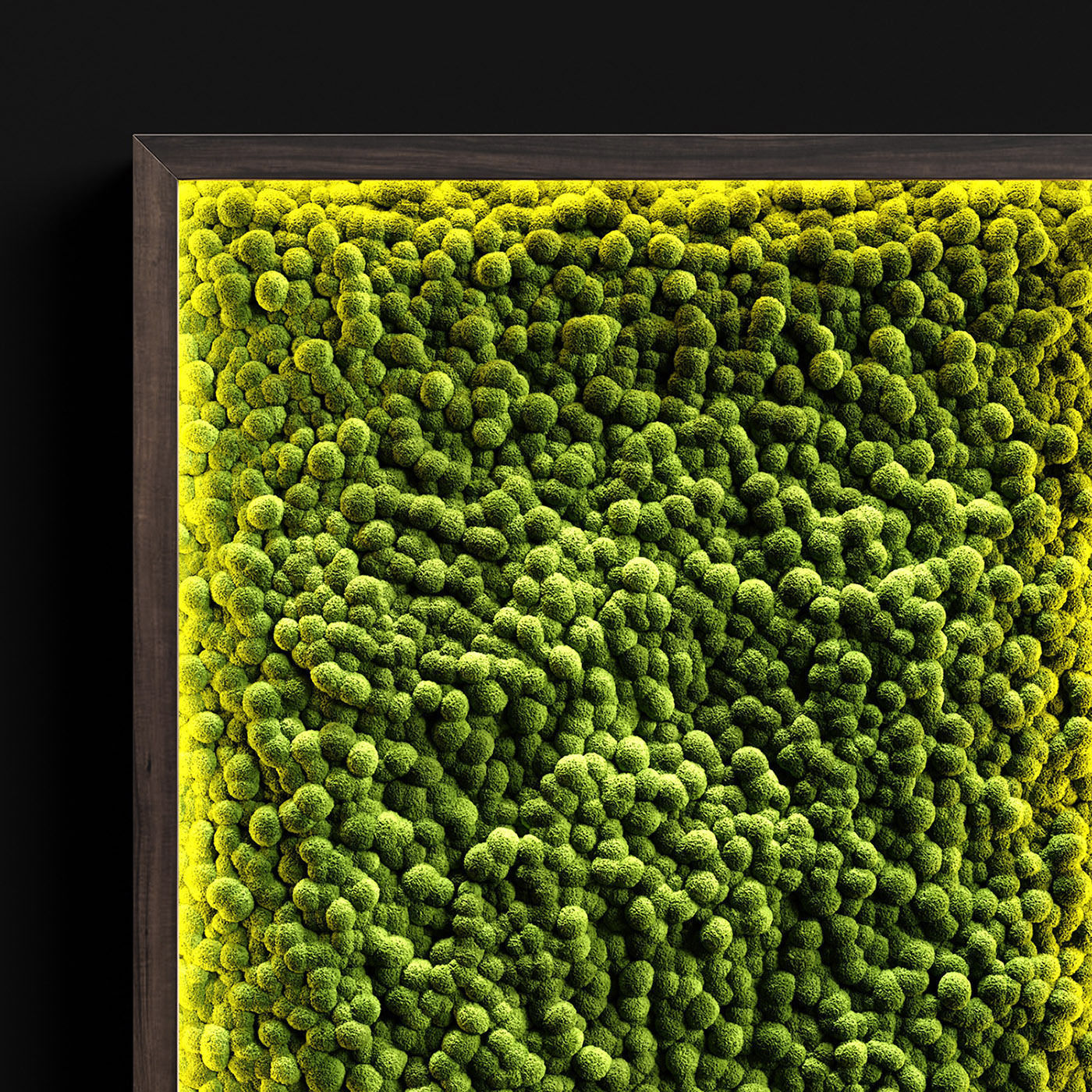 Phytowall with stabilized moss 3D model_2