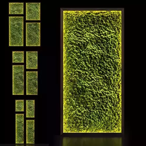 Phytowall with stabilized moss