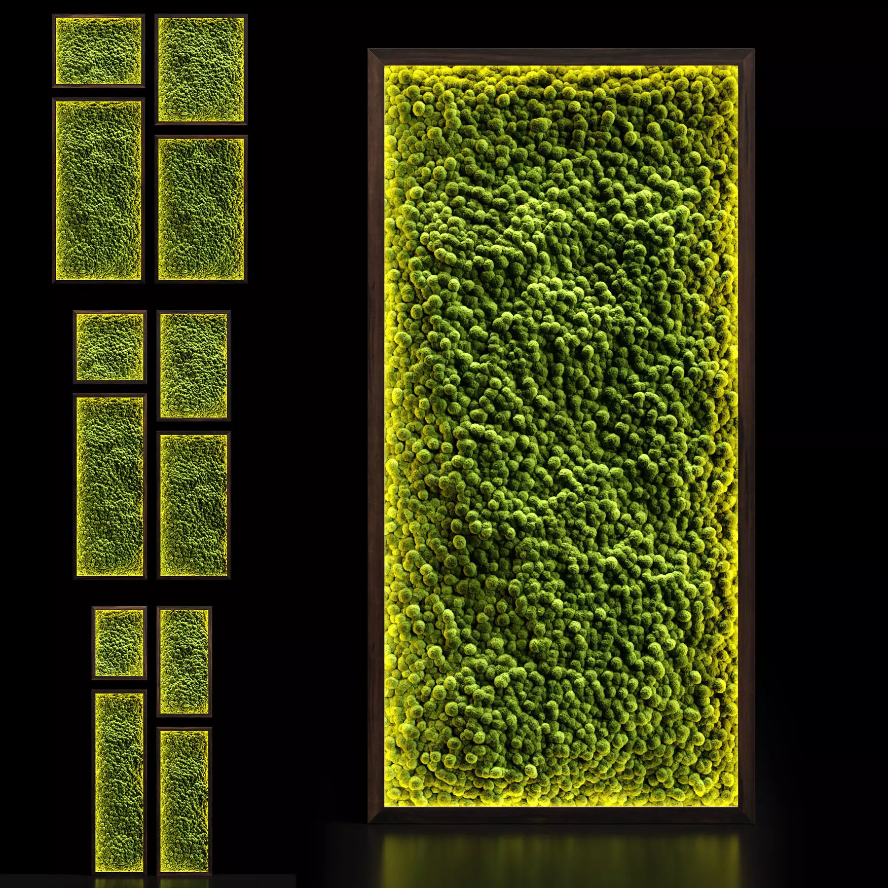 Phytowall with stabilized moss 3D model_0