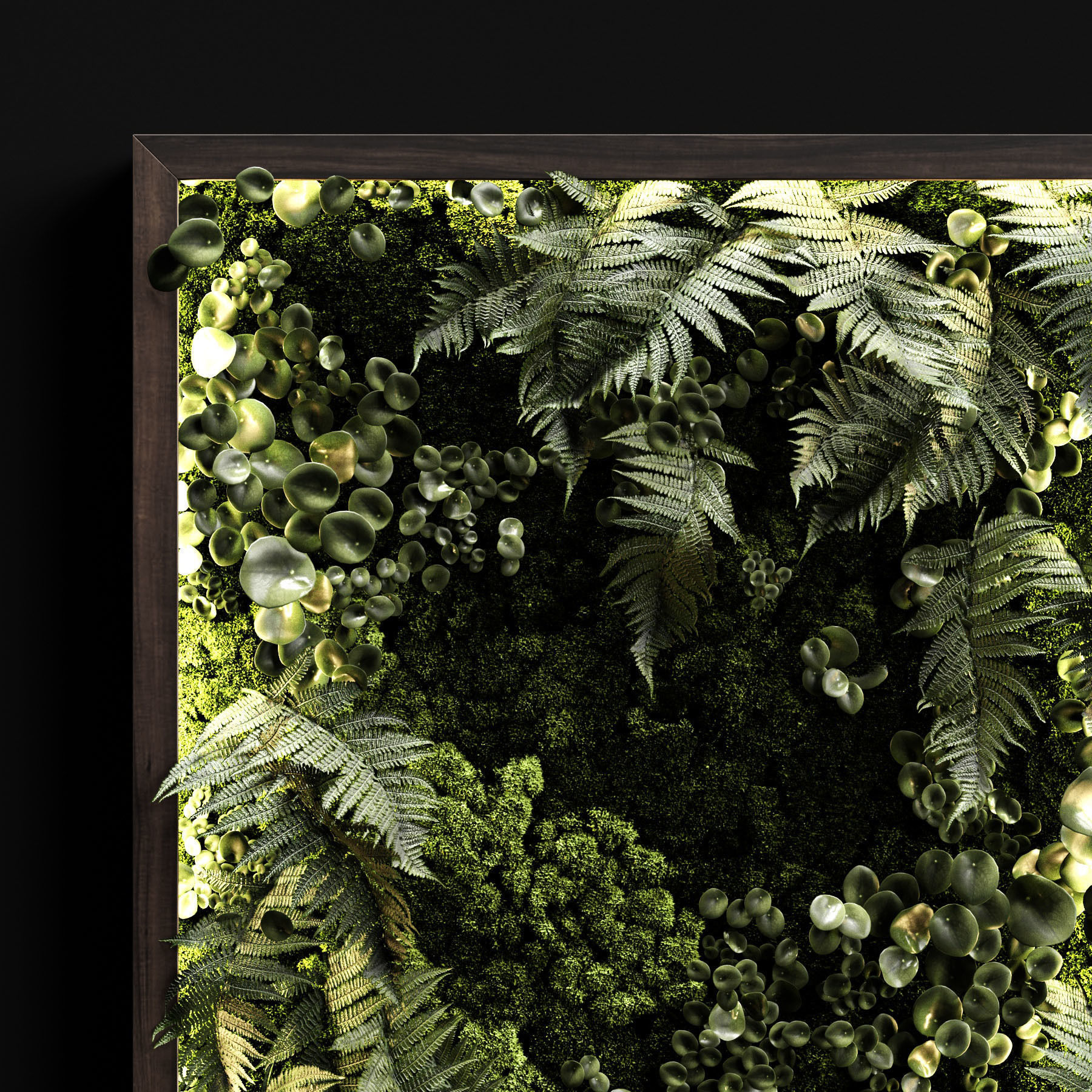 Phytowalls collection 3D model_2