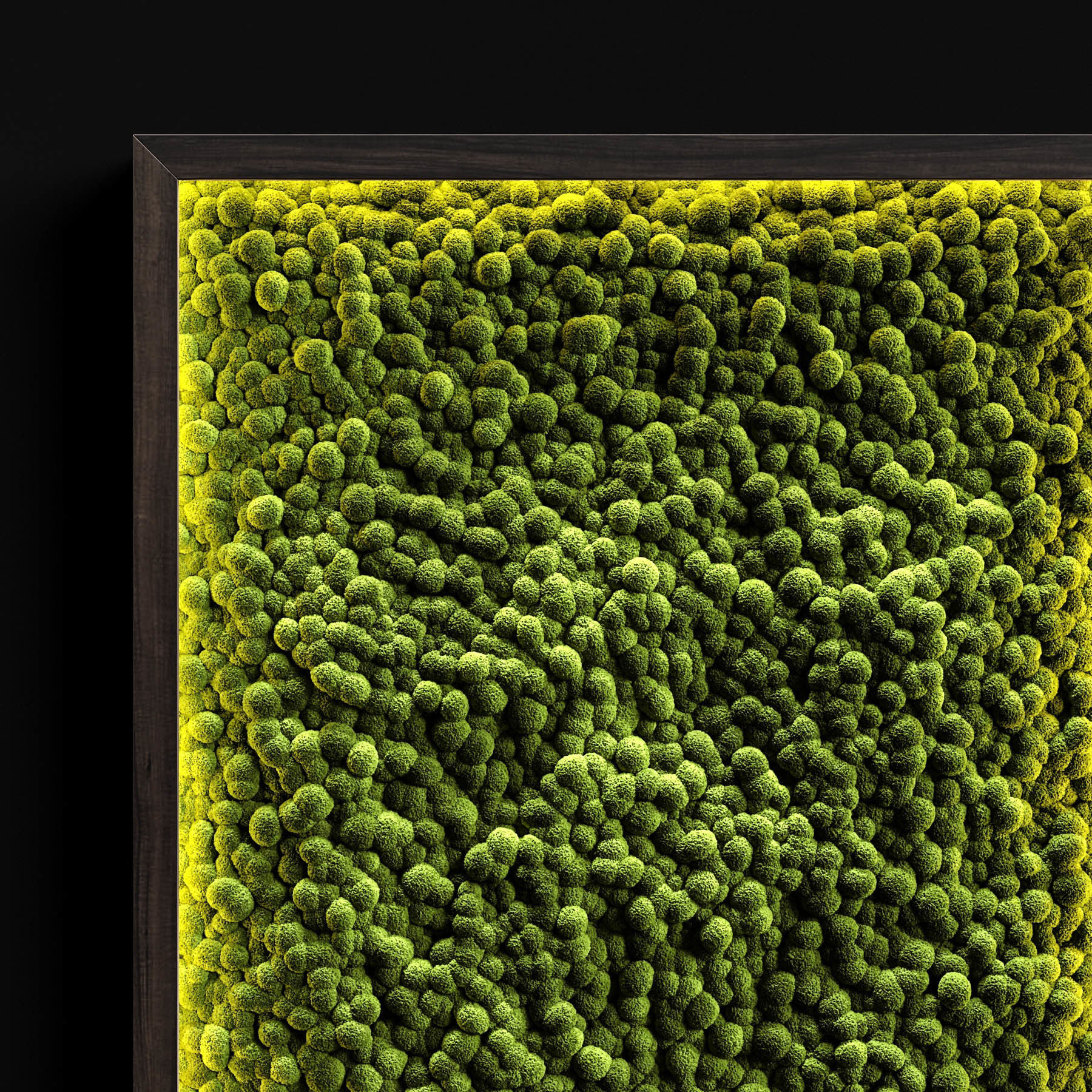 Phytowalls collection 3D model_4