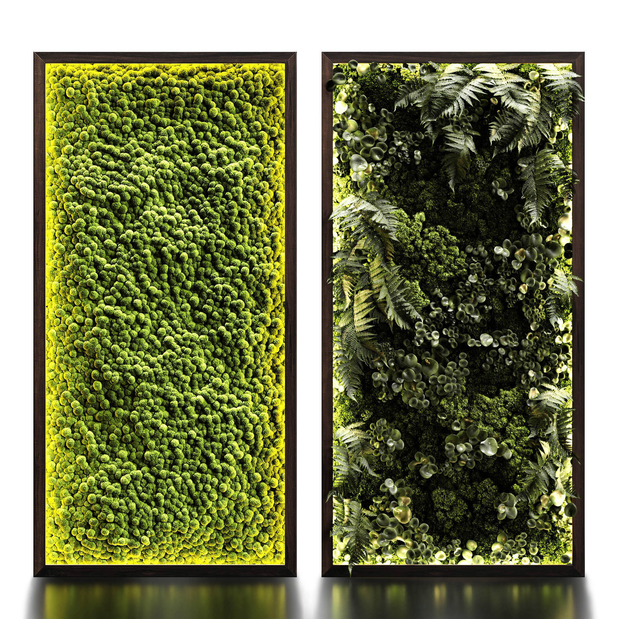 Phytowalls collection 3D model_1