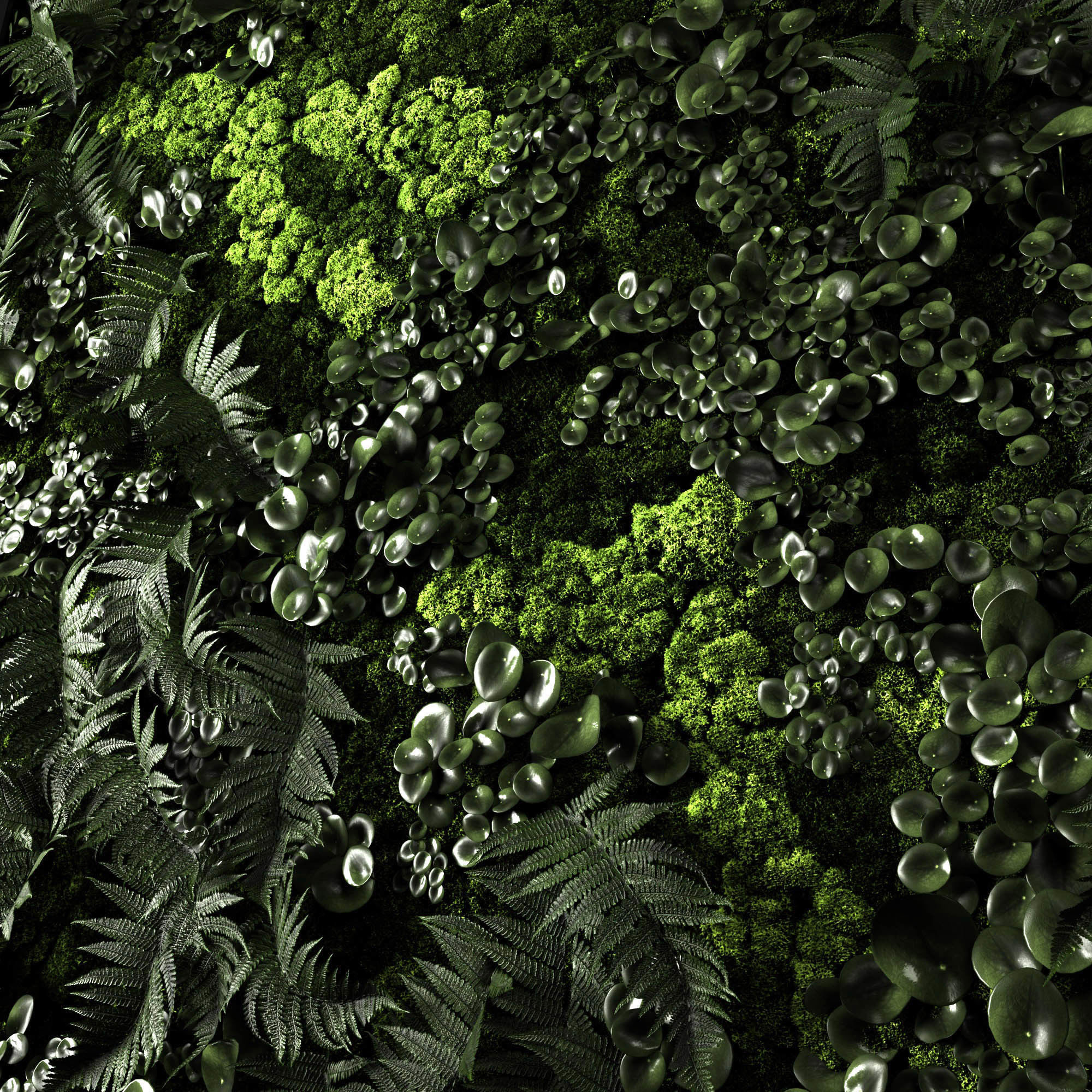 Phytowalls collection 3D model_3
