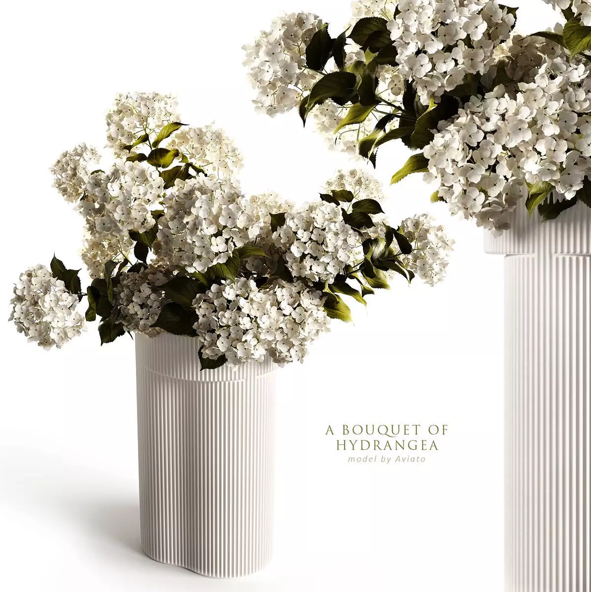 Hydrangea in ripple vase 3D model