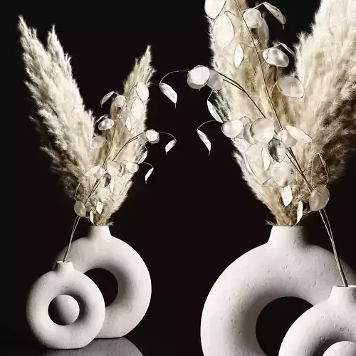 Lunaria with Pampas  3D model