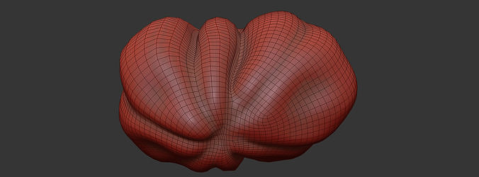 Tomato 3D model 7