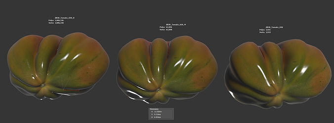 Tomato 3D model 6