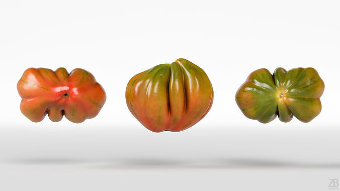 Tomato 3D model 5