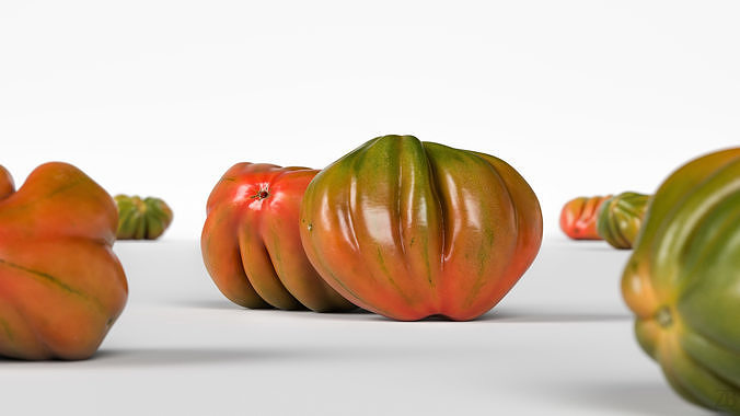 Tomato 3D model 2