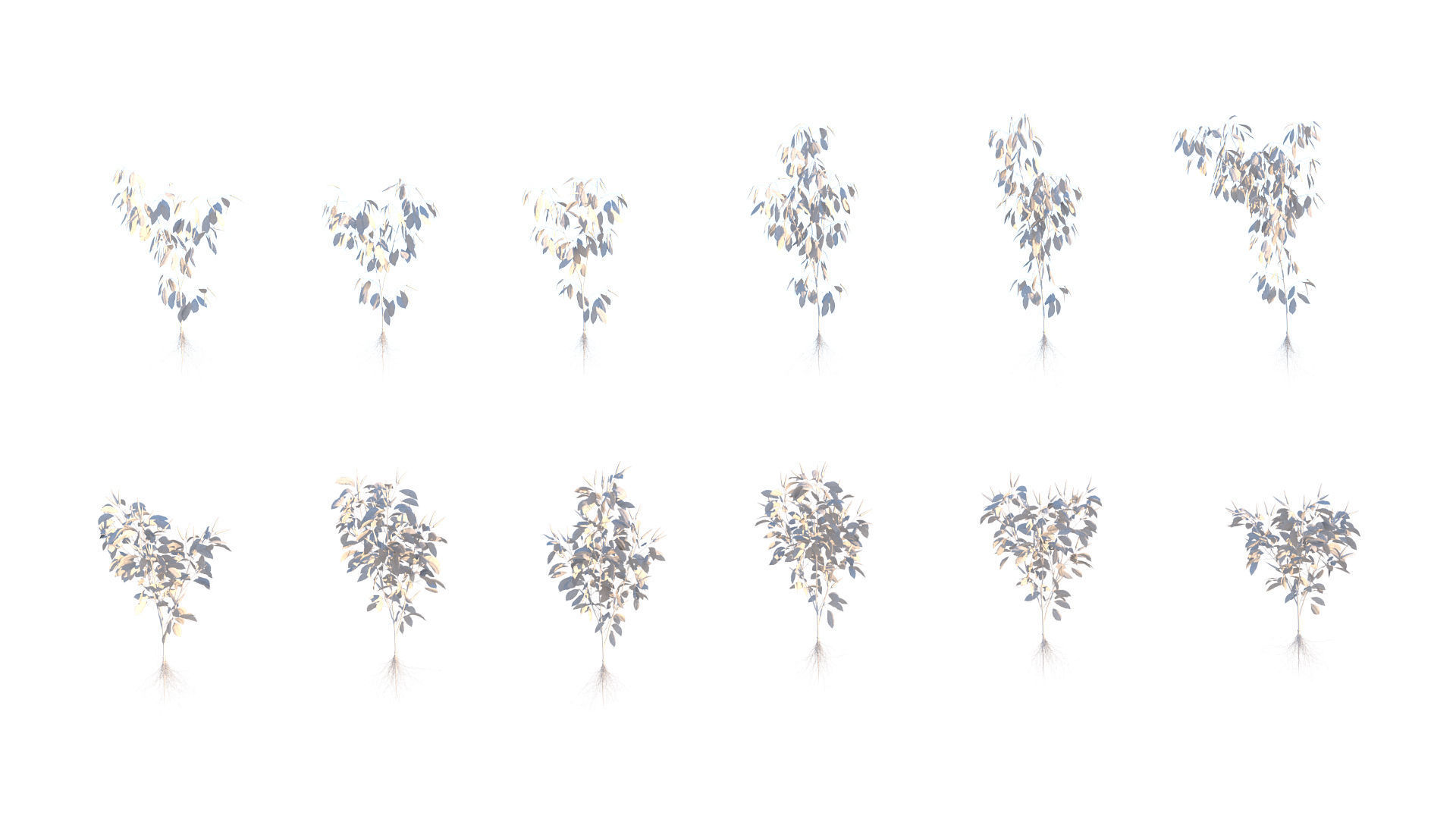 Pepper  Red pepper  Green pepper 3D model_10