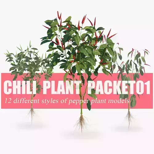 Pepper  Red pepper  Green pepper