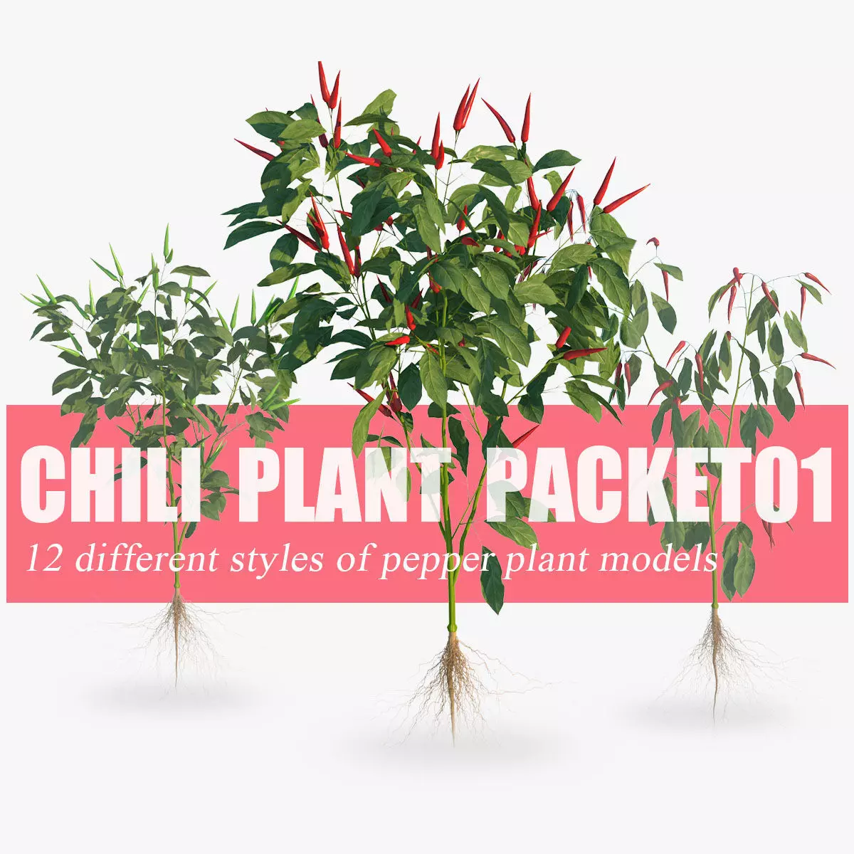 Pepper  Red pepper  Green pepper 3D model_0