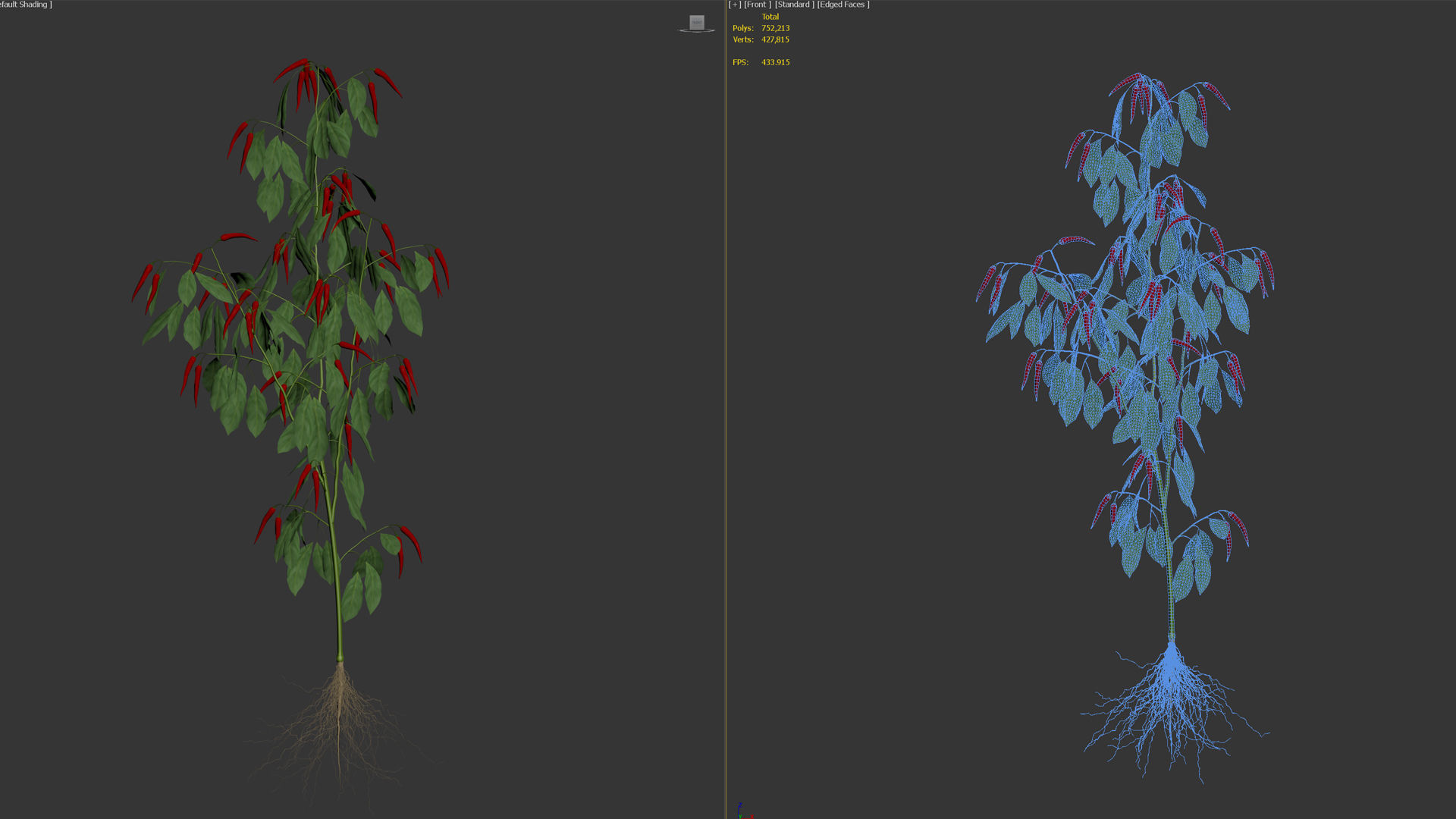 Pepper  Red pepper  Green pepper 3D model_15