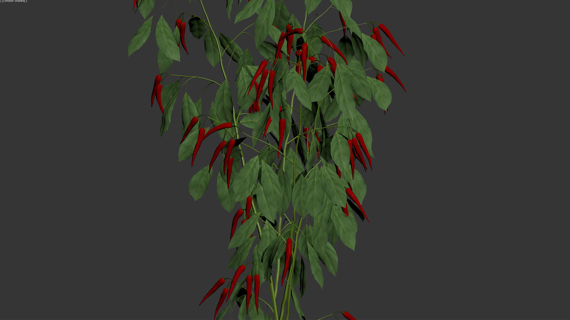 Pepper  Red pepper  Green pepper 3D model_17