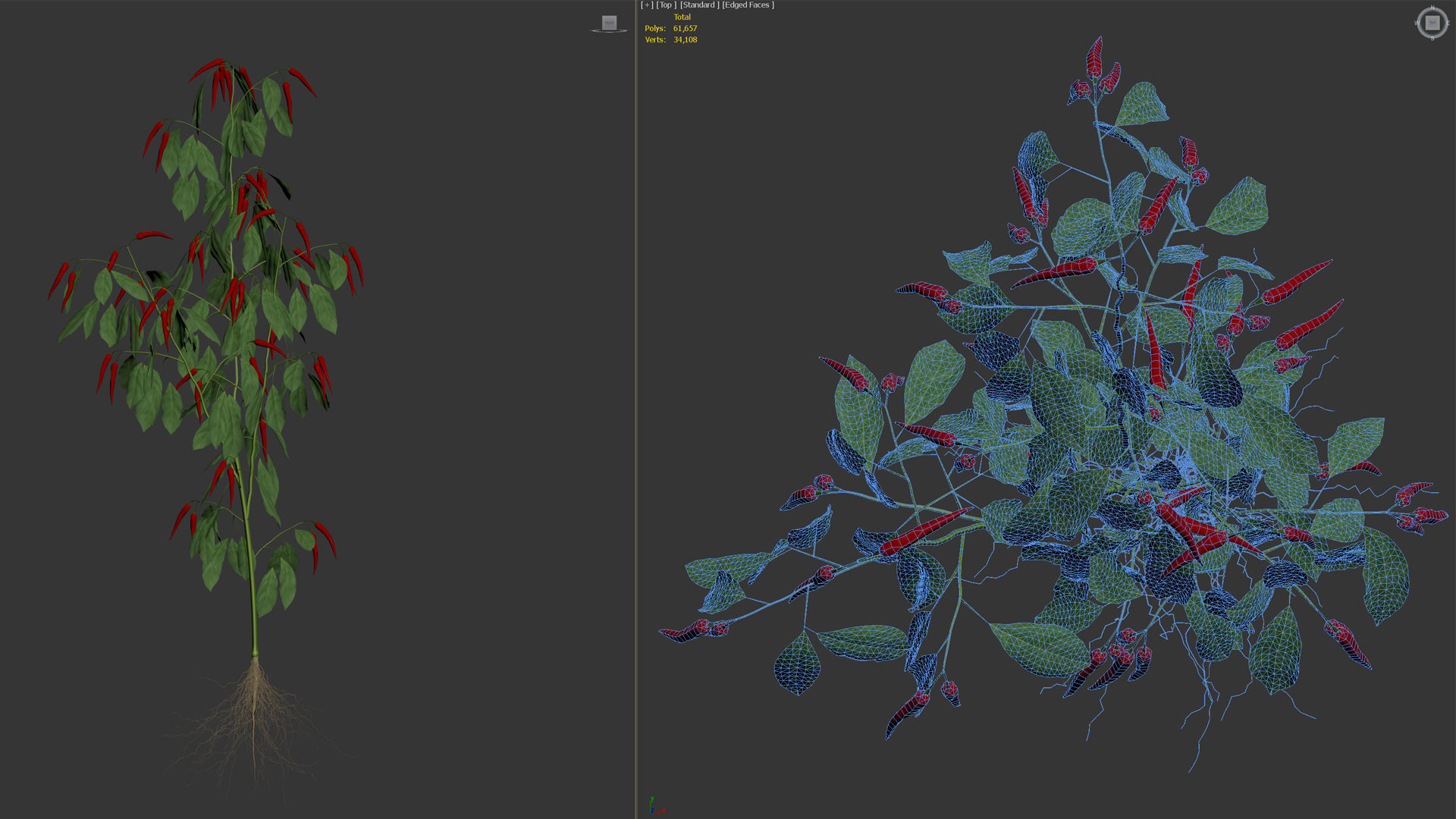 Pepper  Red pepper  Green pepper 3D model_13