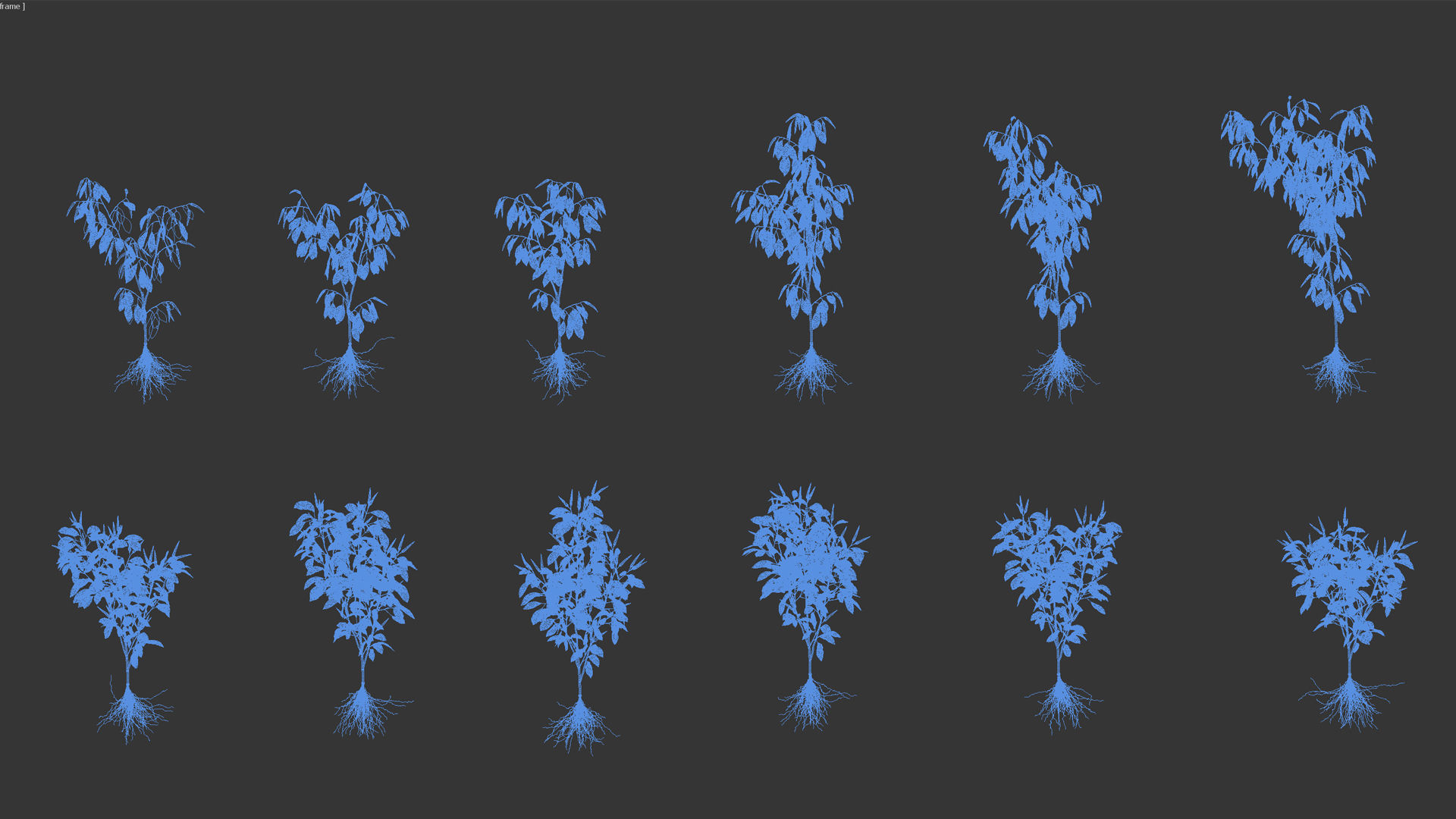 Pepper  Red pepper  Green pepper 3D model_11