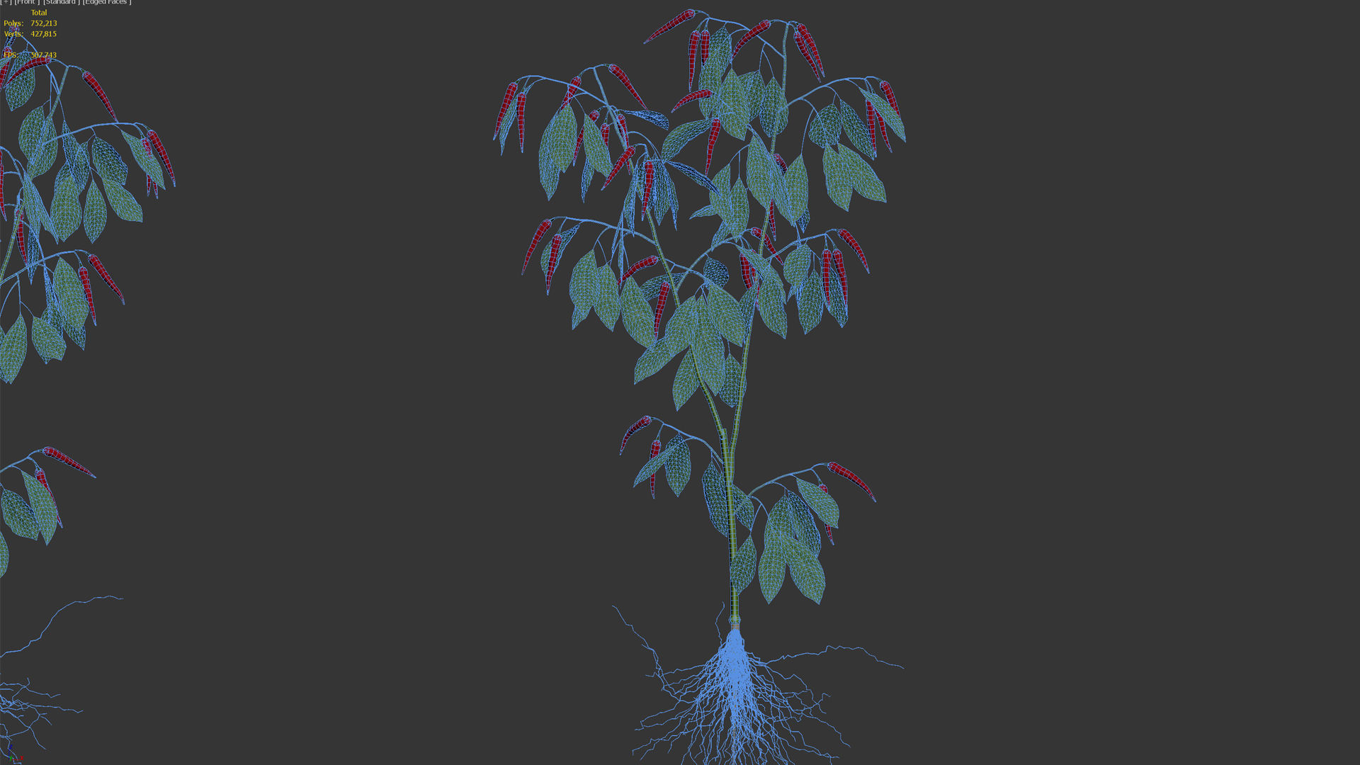 Pepper  Red pepper  Green pepper 3D model_12