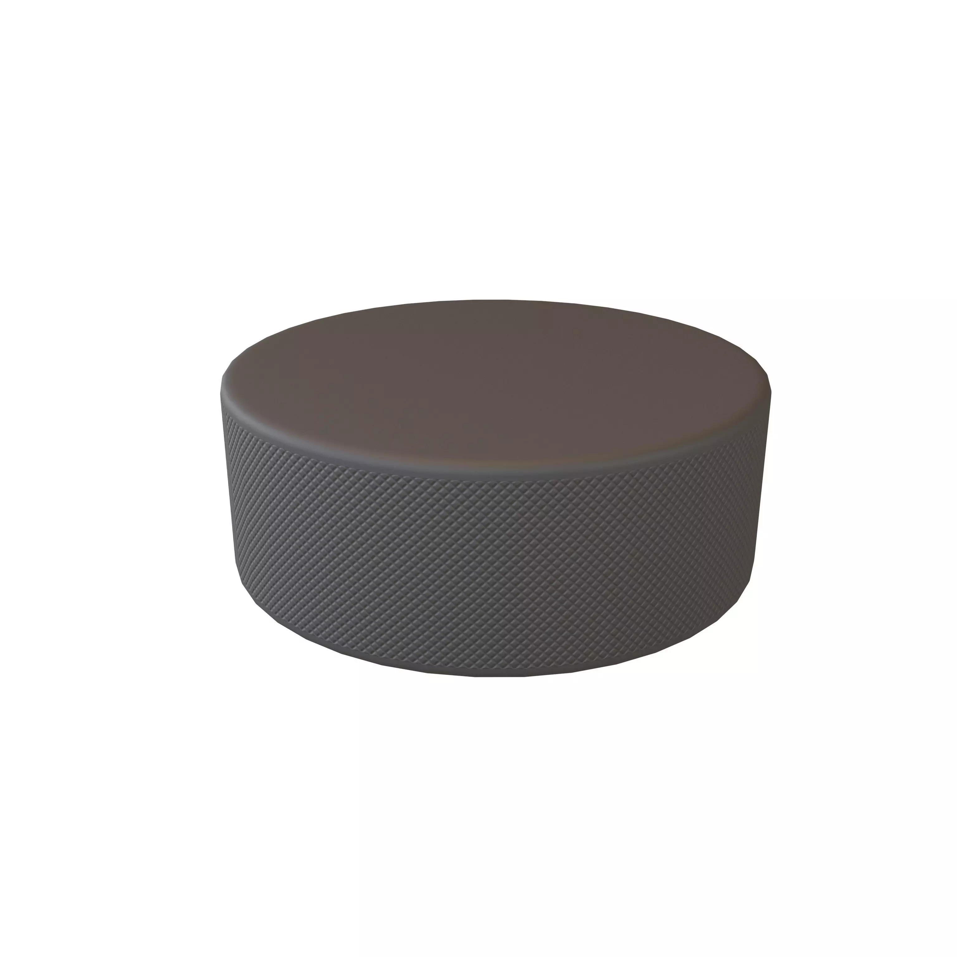 Ice Hockey Puck v1 001 Low-poly 3D model_0