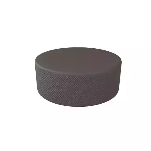 Ice Hockey Puck v1 001 Low-poly 3D model