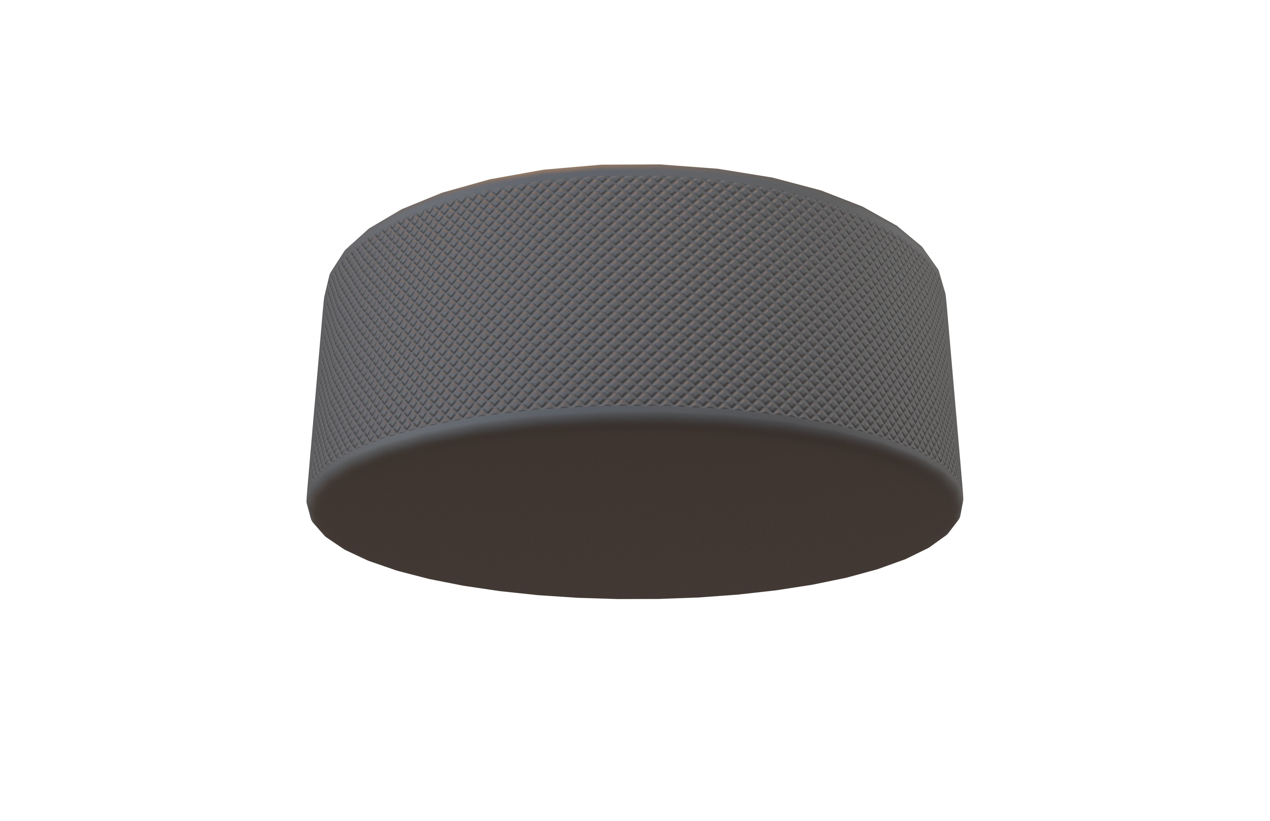 Ice Hockey Puck v1 001 Low-poly 3D model_3