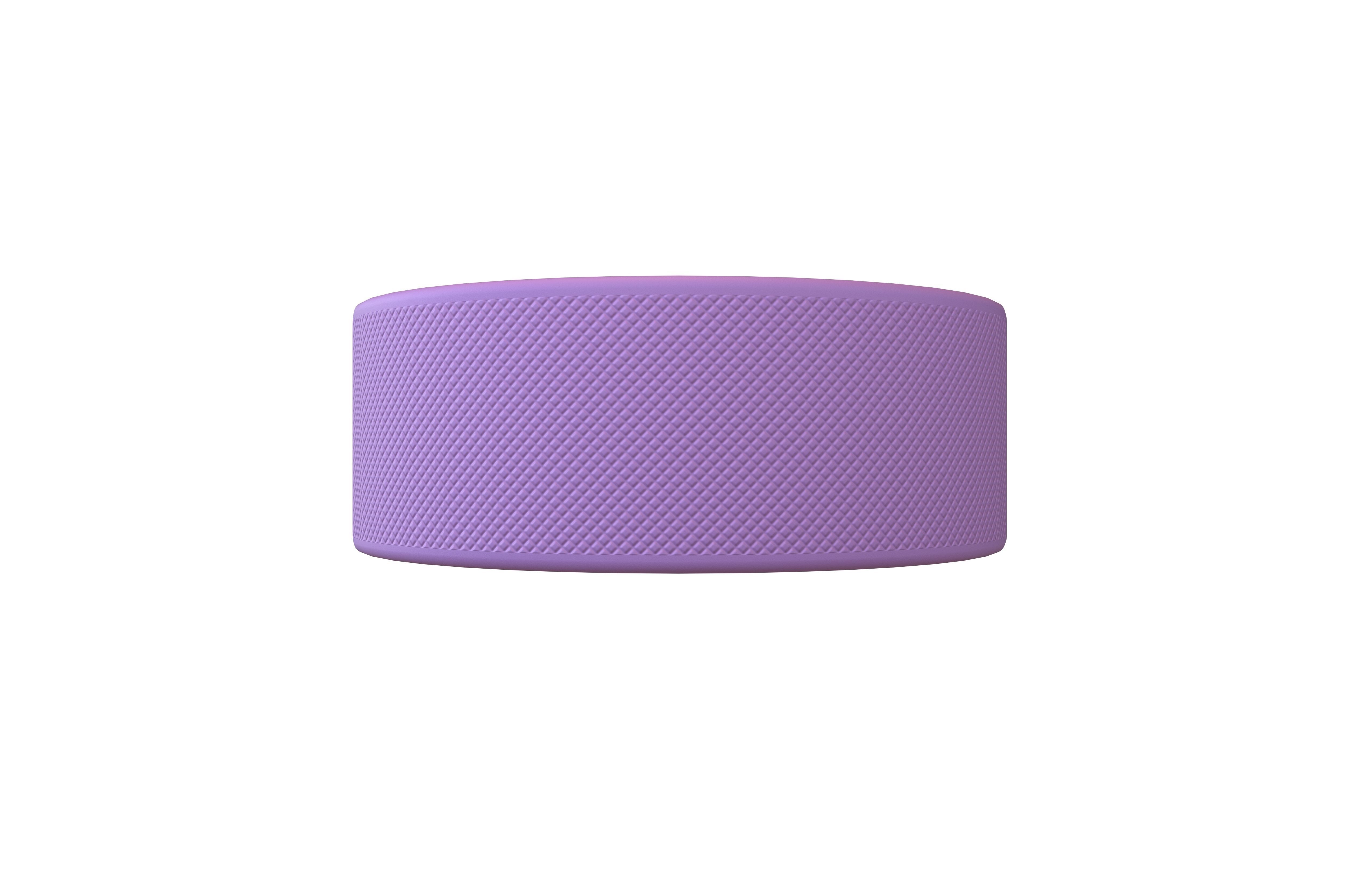 Ice Hockey Puck v1 002 Low-poly 3D model_3