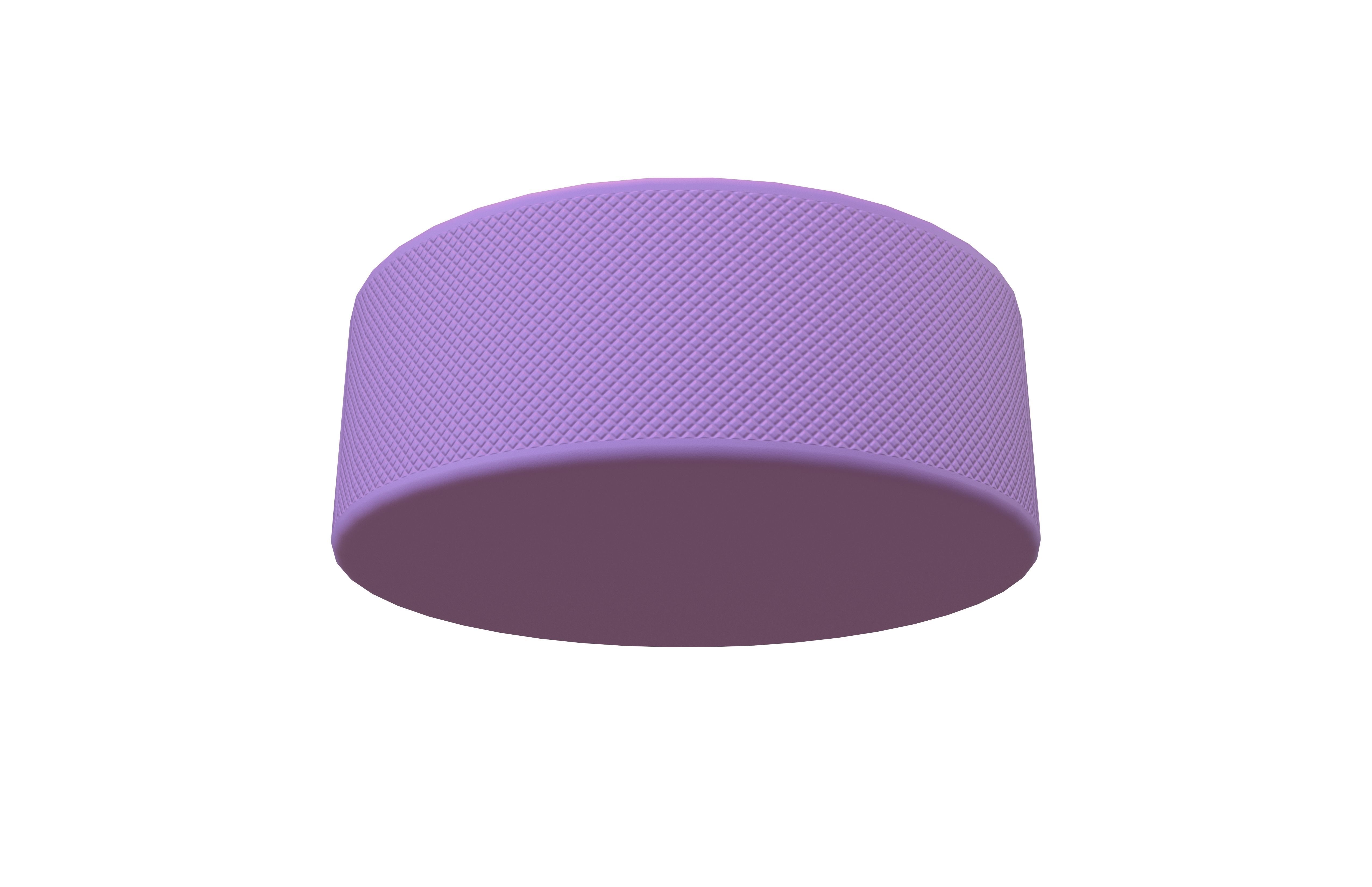 Ice Hockey Puck v1 002 Low-poly 3D model_2