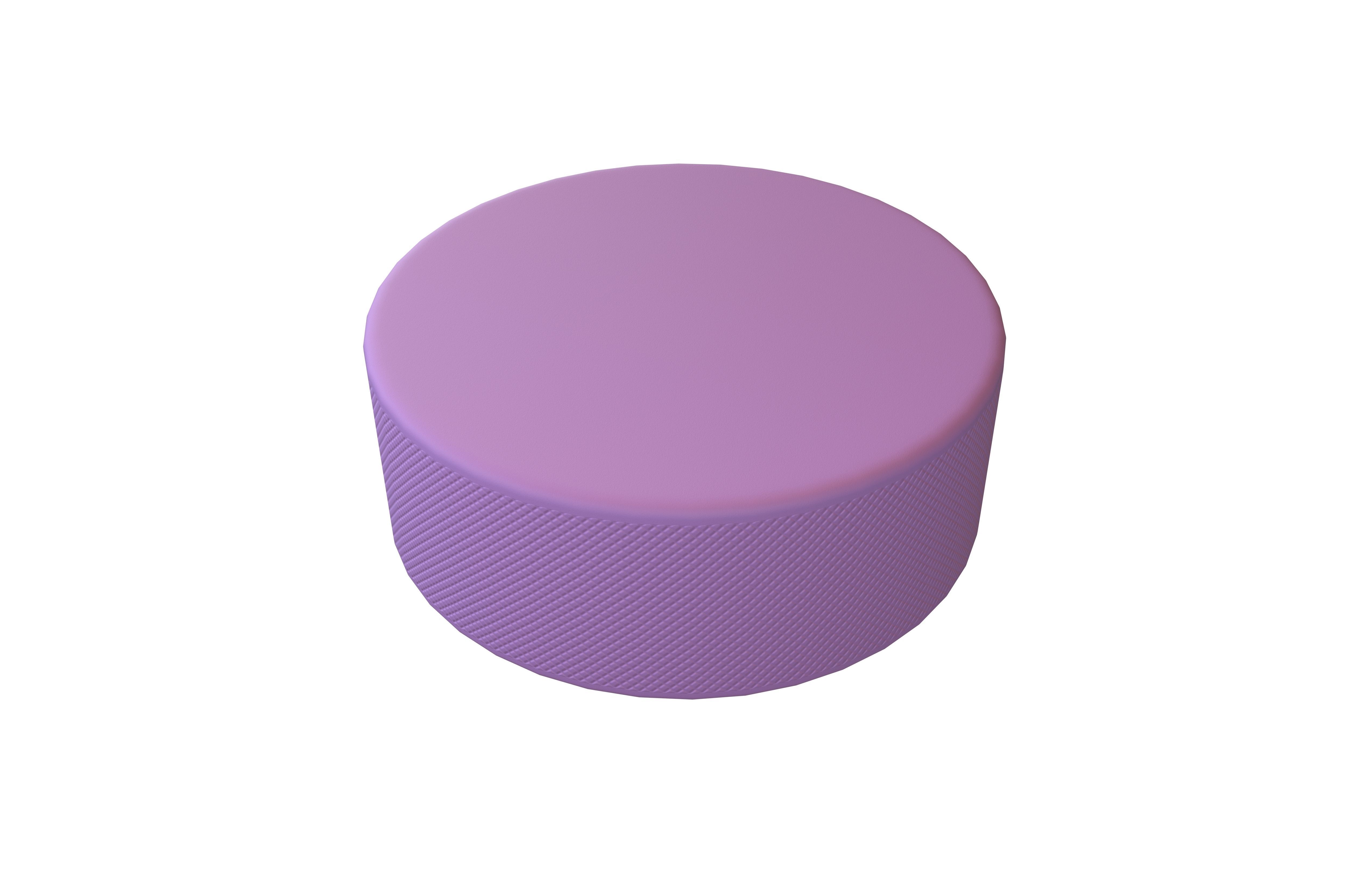 Ice Hockey Puck v1 002 Low-poly 3D model_1