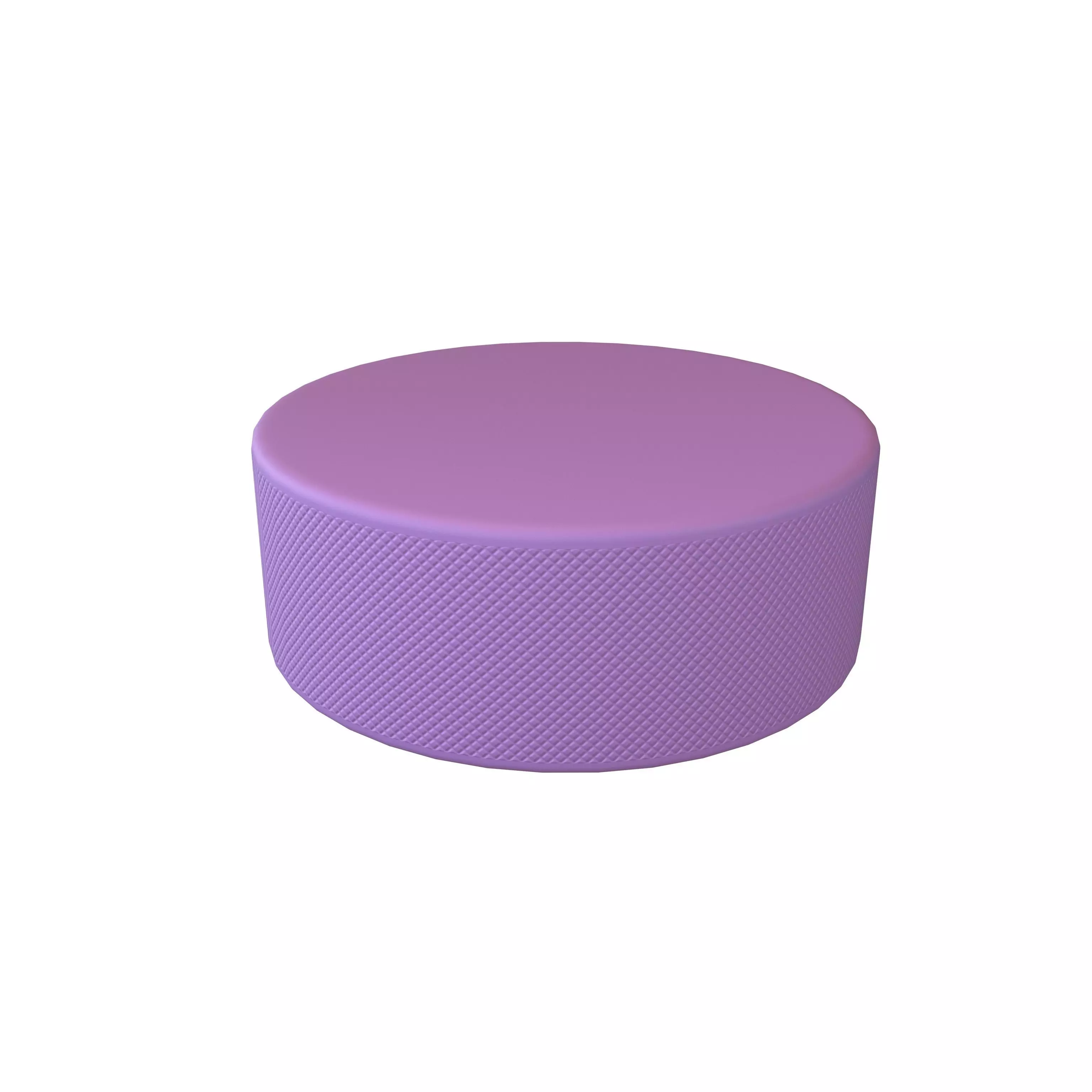 Ice Hockey Puck v1 002 Low-poly 3D model_0