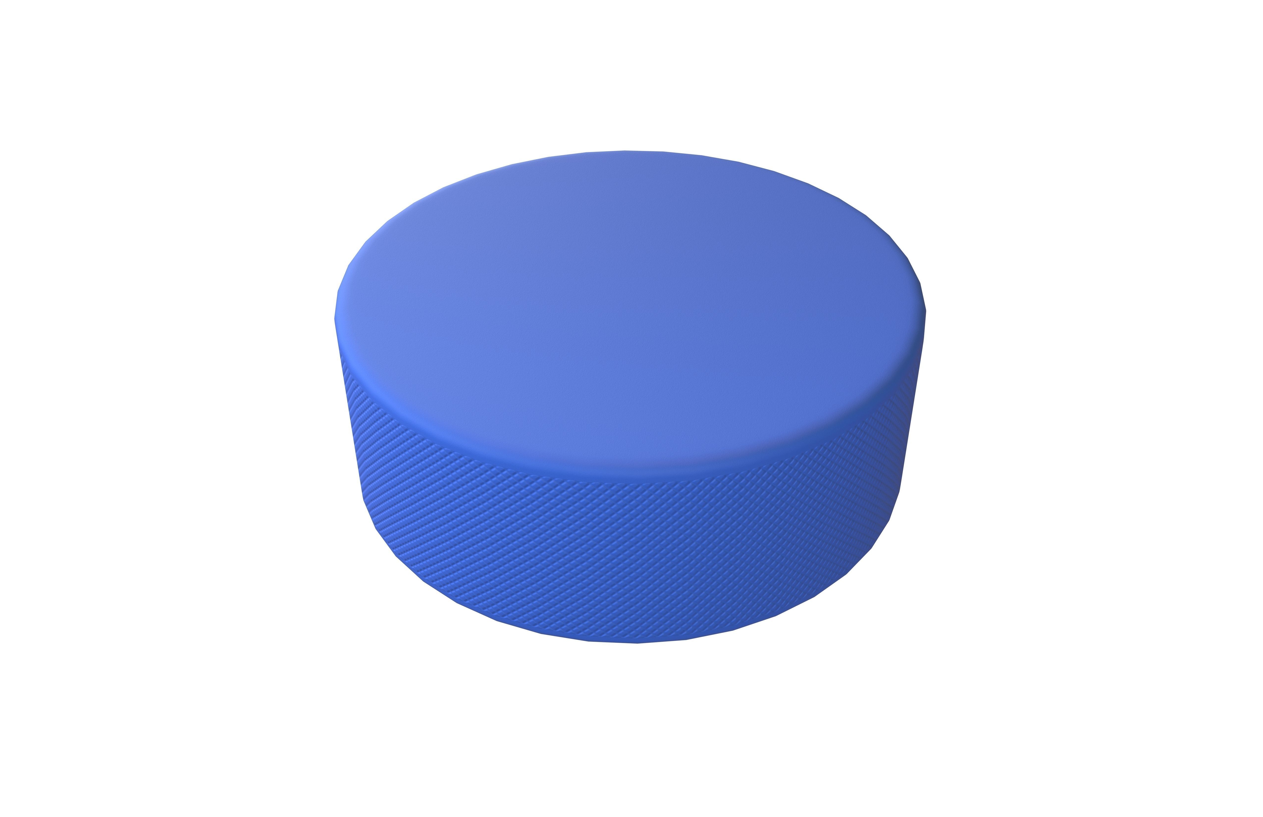 Ice Hockey Puck v1 003 Low-poly 3D model_2