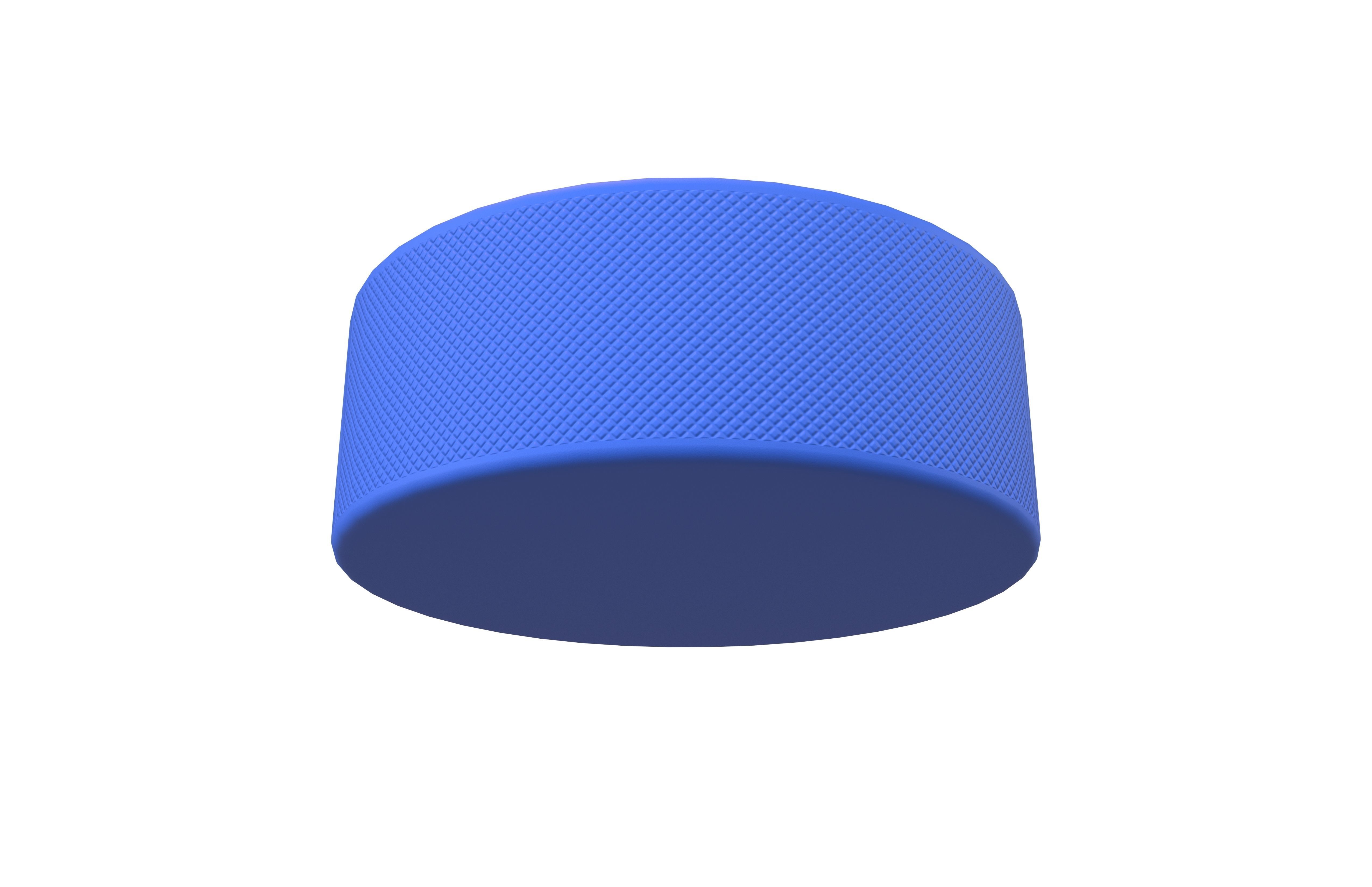 Ice Hockey Puck v1 003 Low-poly 3D model_11