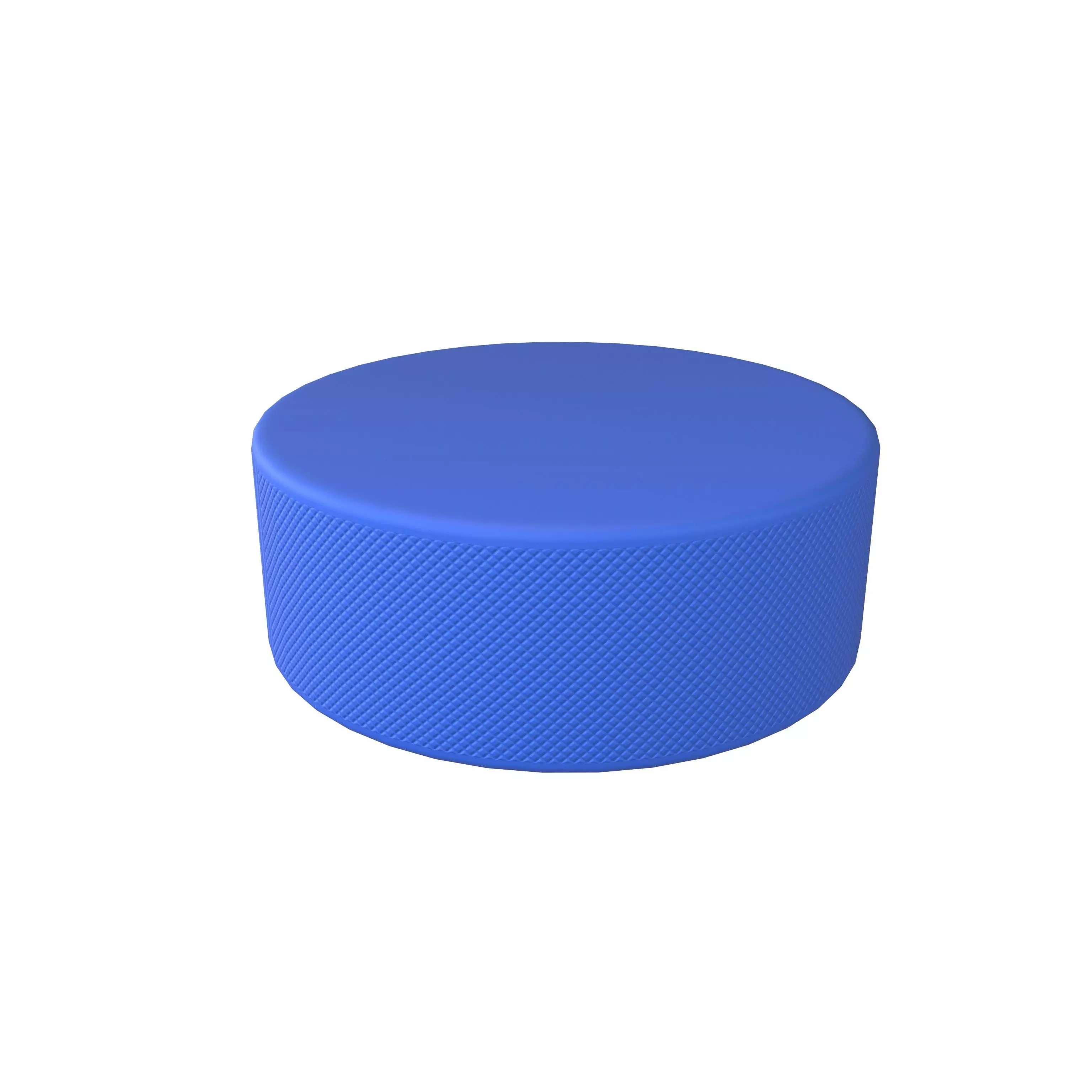 Ice Hockey Puck v1 003 Low-poly 3D model_0