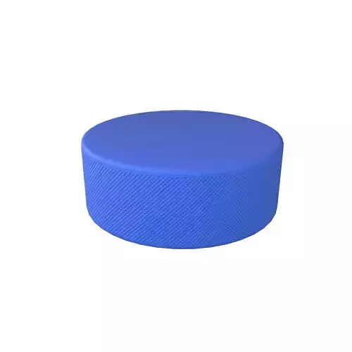 Ice Hockey Puck v1 003 Low-poly 3D model