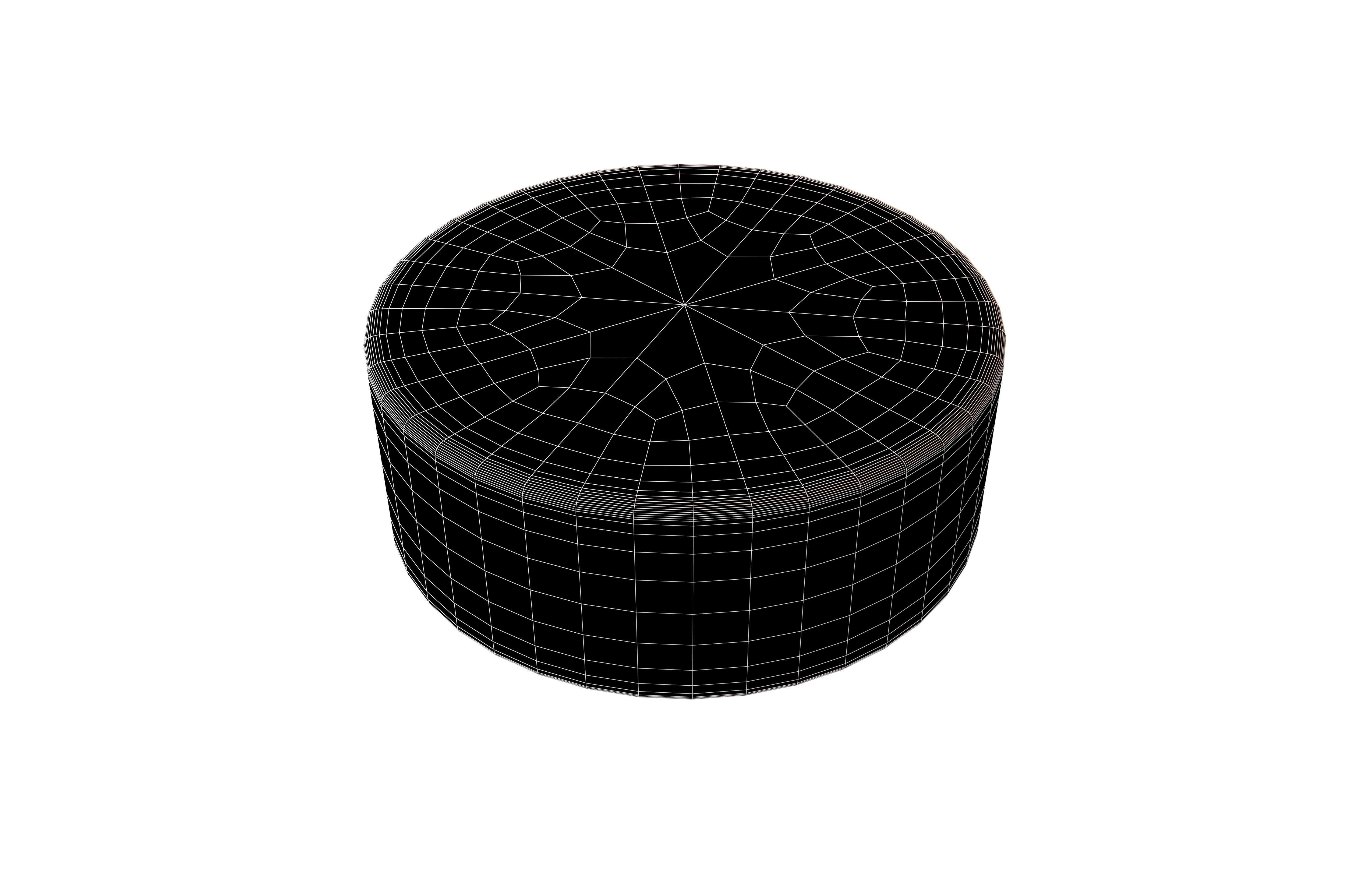 Ice Hockey Puck v1 003 Low-poly 3D model_9