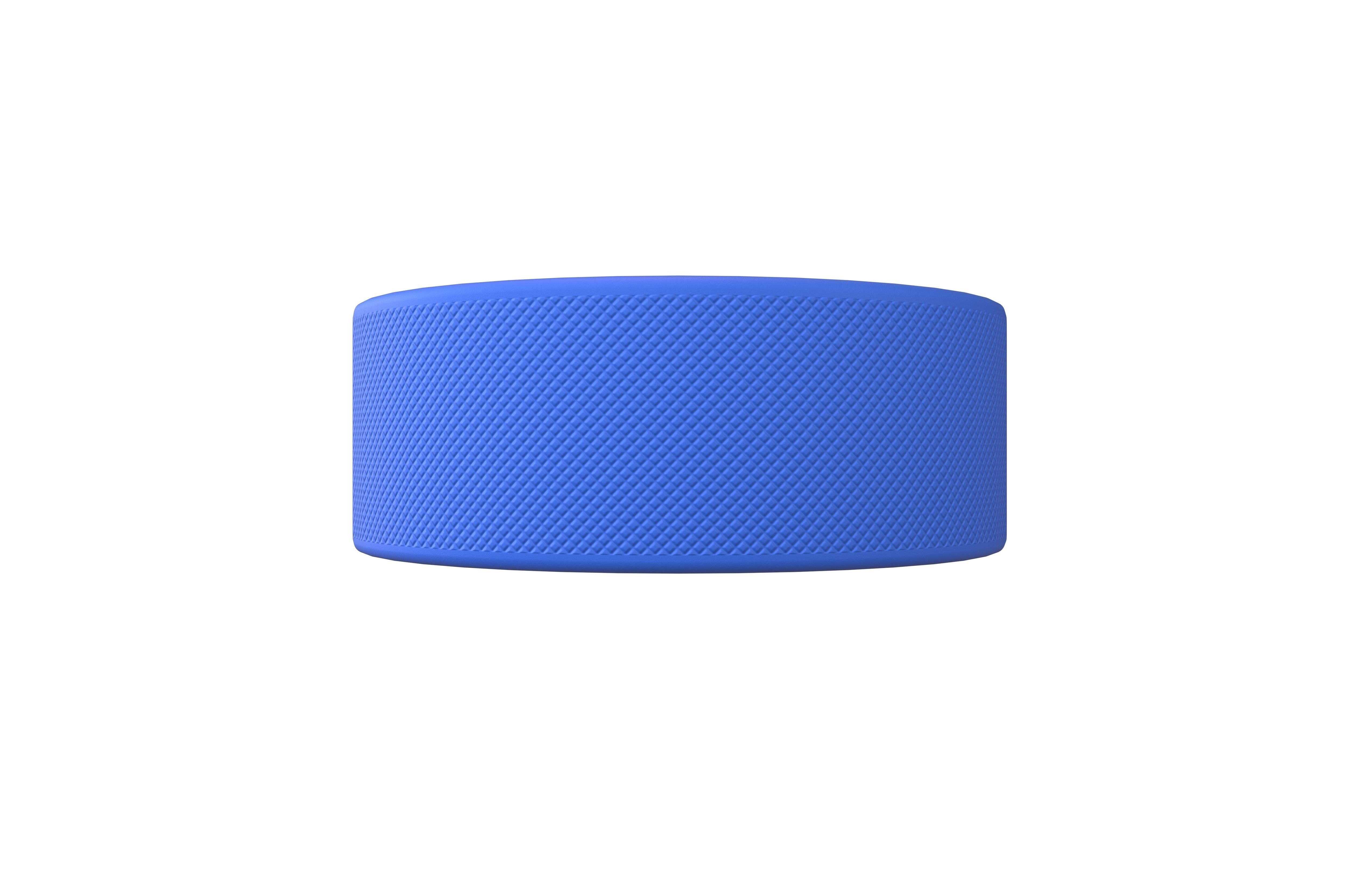 Ice Hockey Puck v1 003 Low-poly 3D model_1