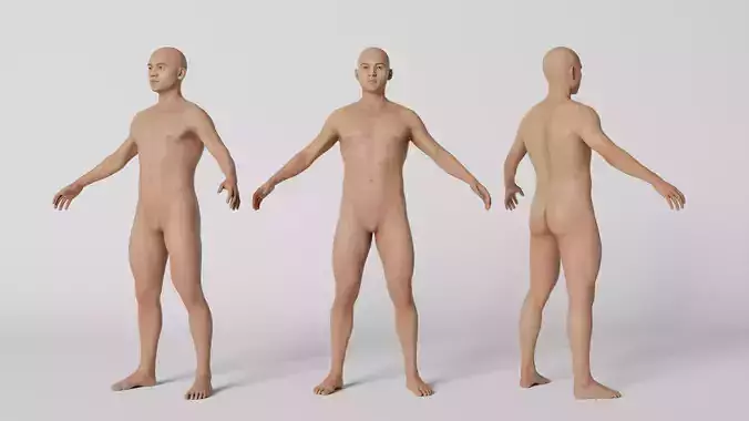 Human Basemesh 3D Model