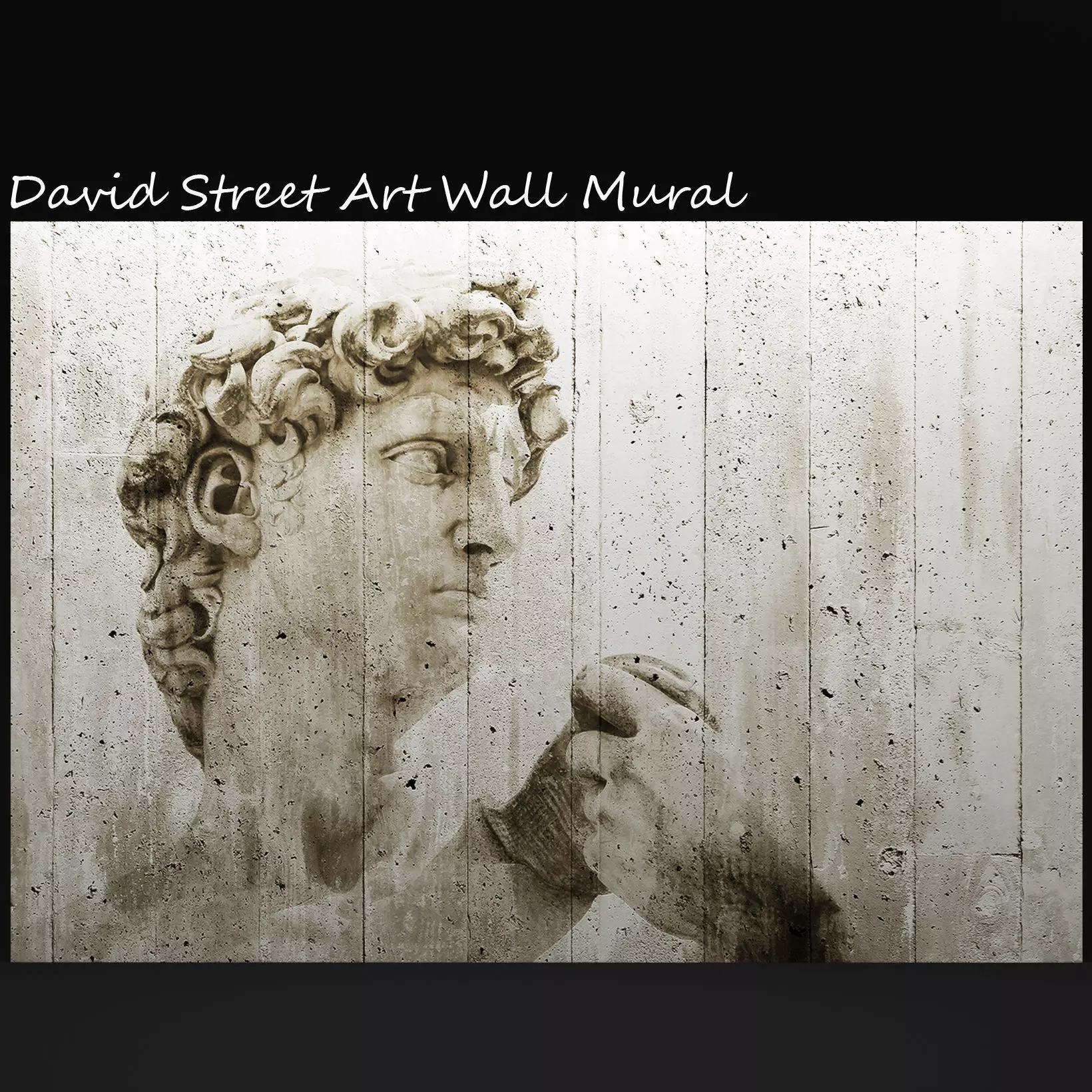 David Street Art Wall Mural 3D model