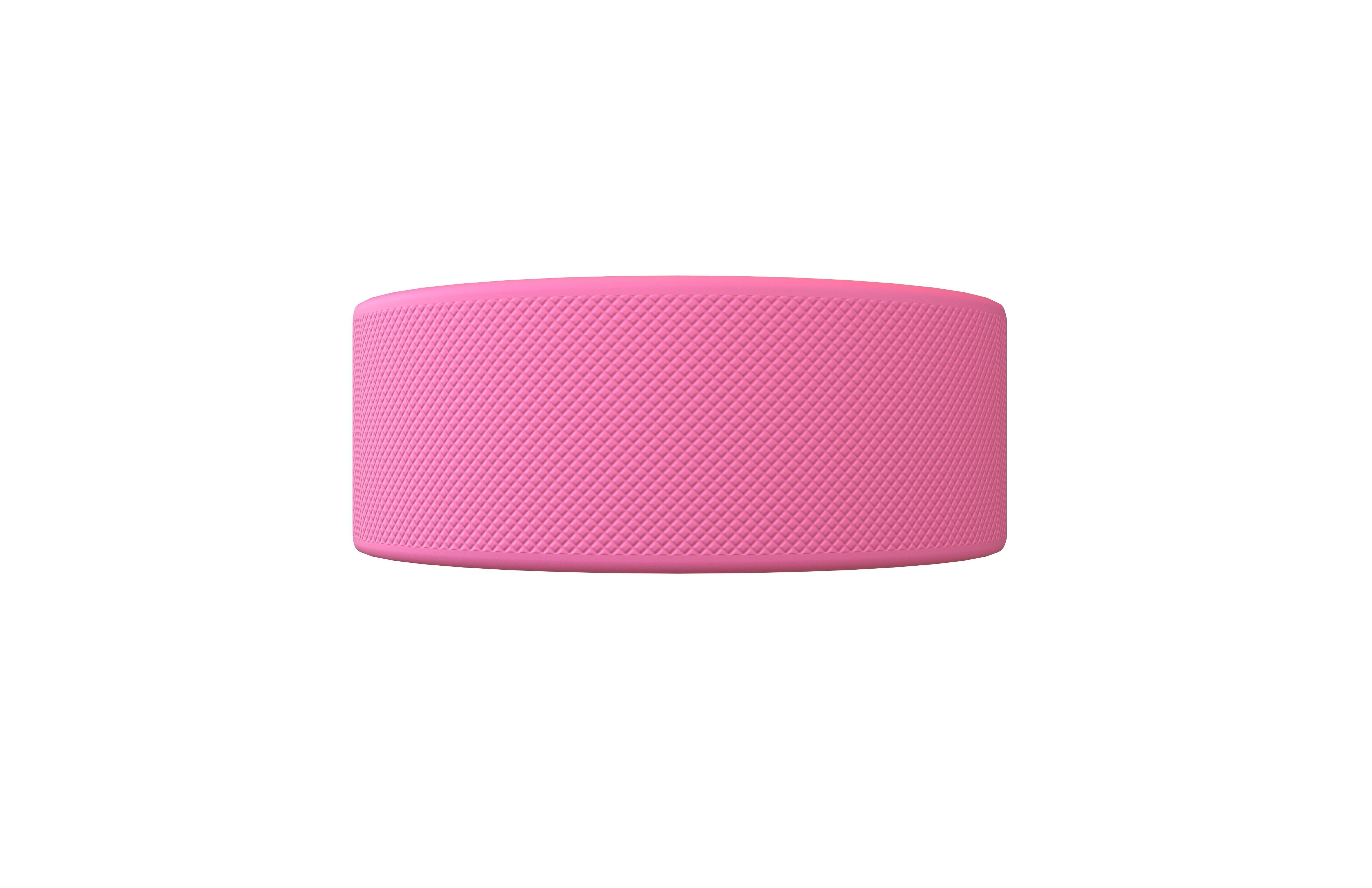 Ice Hockey Puck v1 004 Low-poly 3D model_1