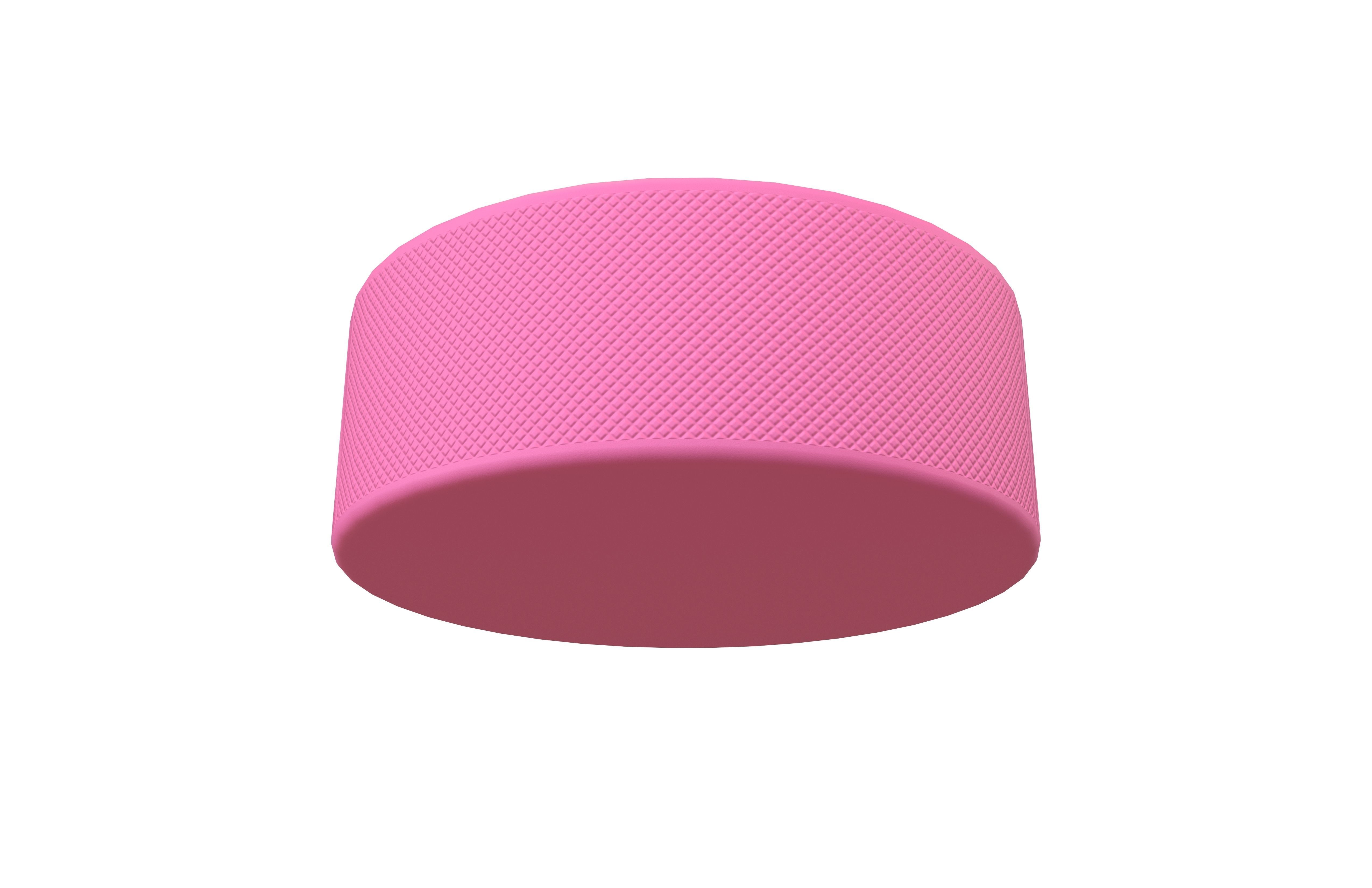 Ice Hockey Puck v1 004 Low-poly 3D model_2