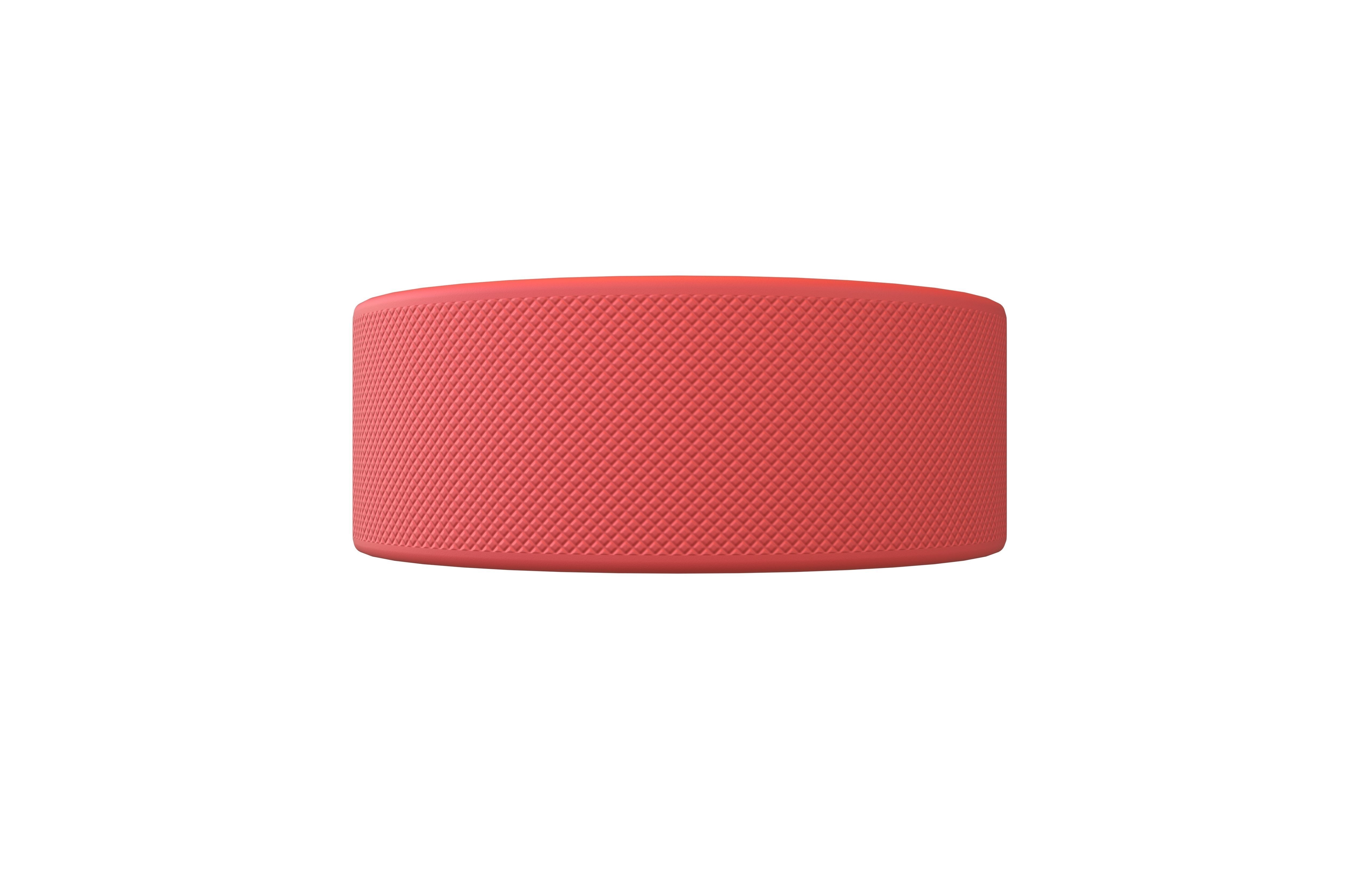 Ice Hockey Puck v1 005 Low-poly 3D model_1